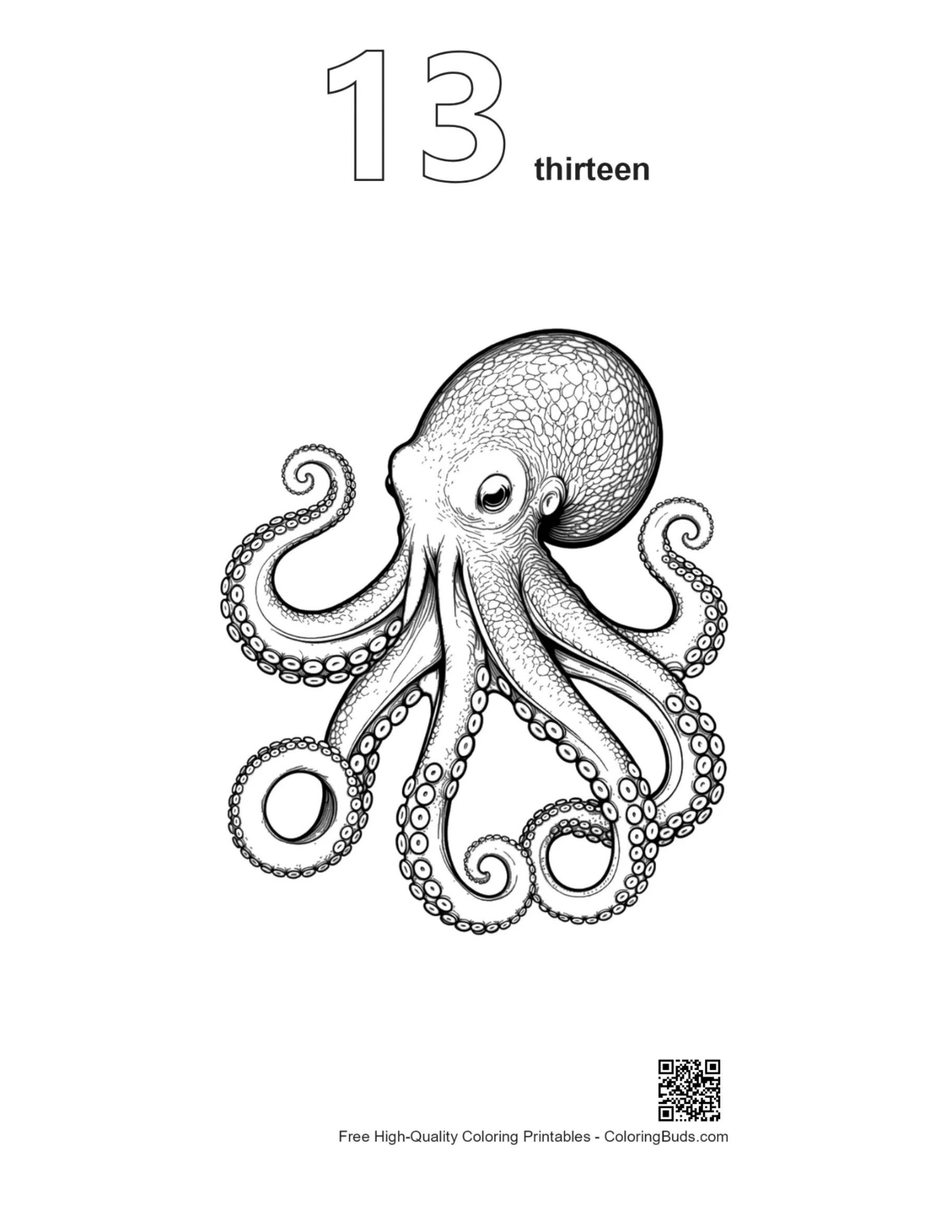 Number 13 giant octopus outline printable