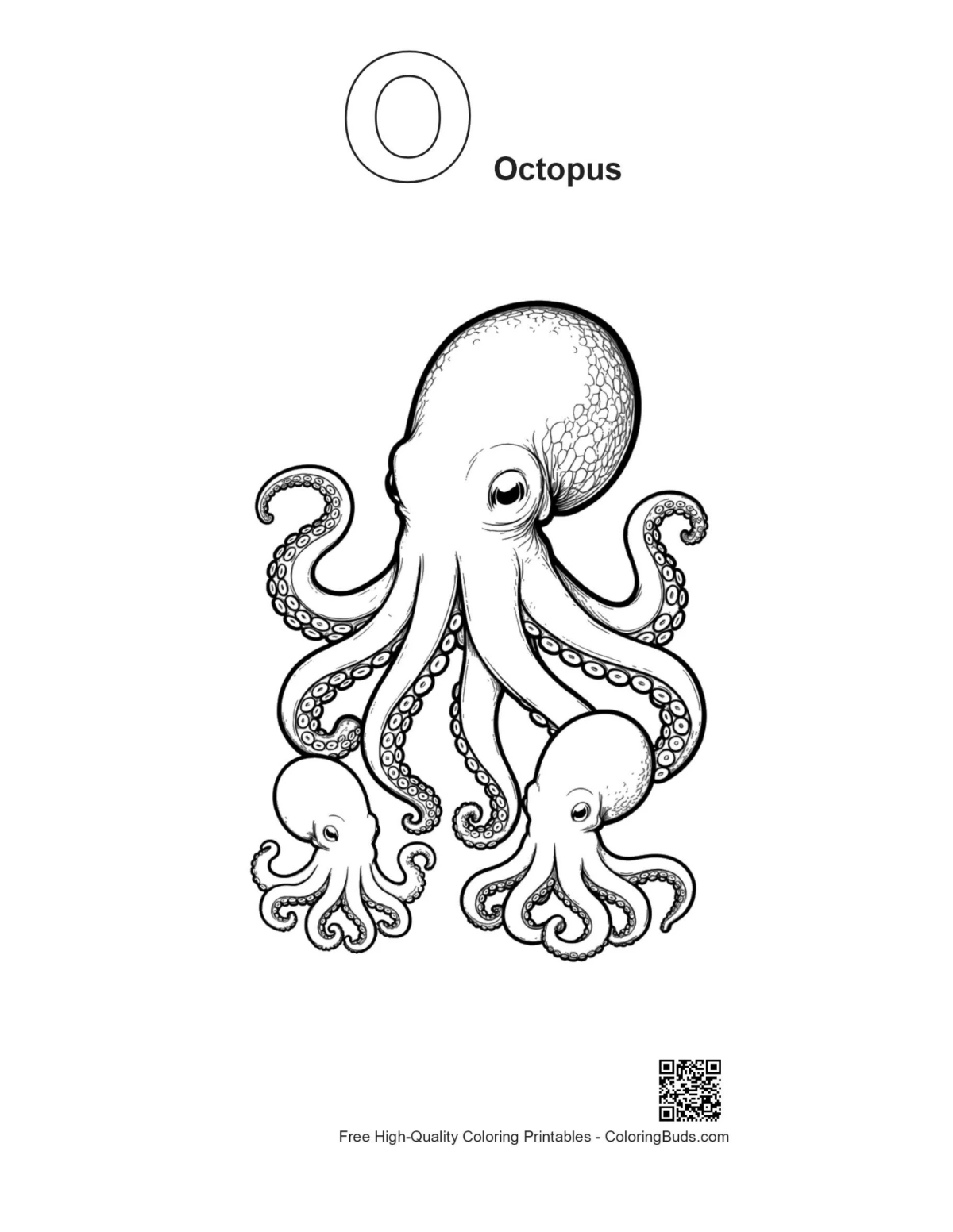 Alphabet O giant octopus with baby octopuses outline