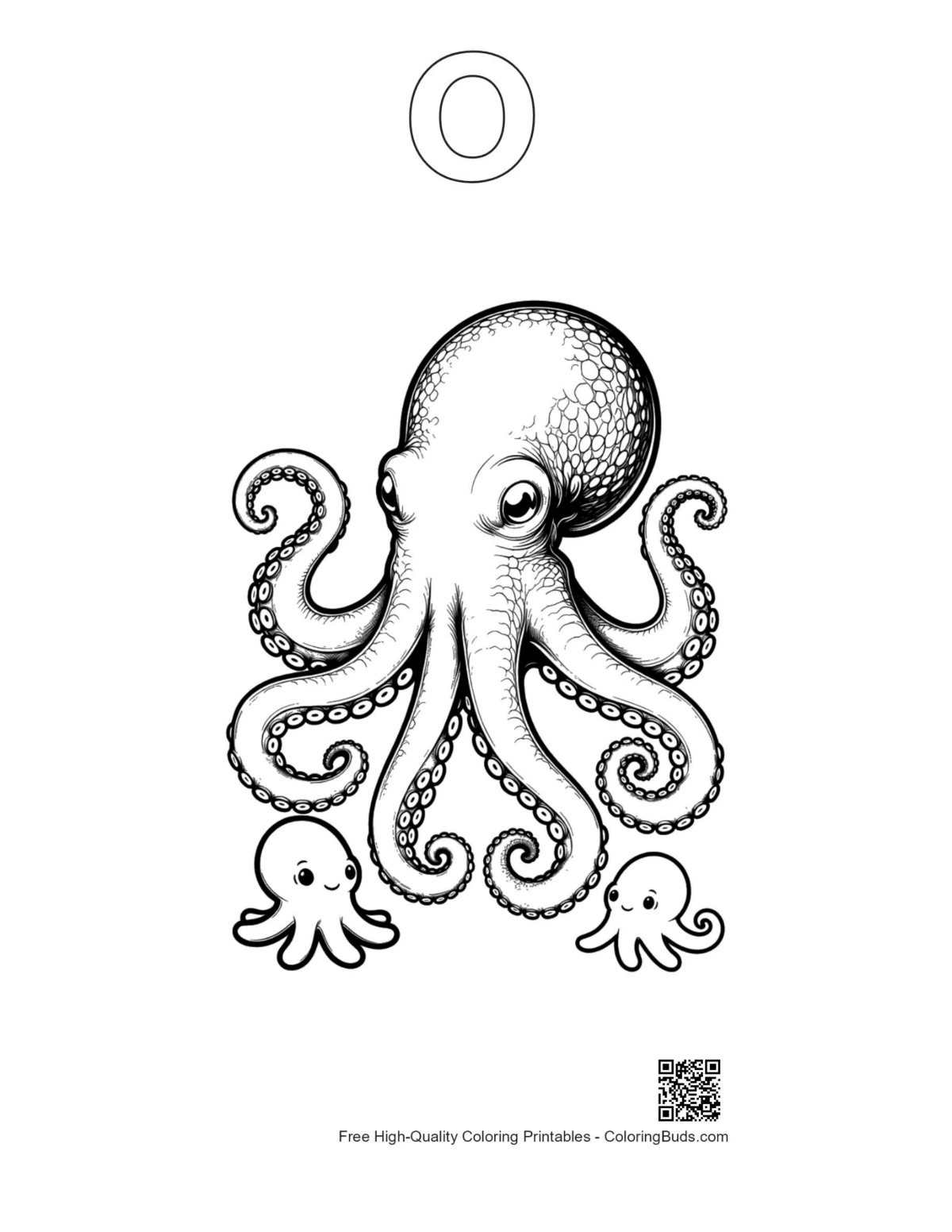 Outline giant octopus alphabet O coloring page