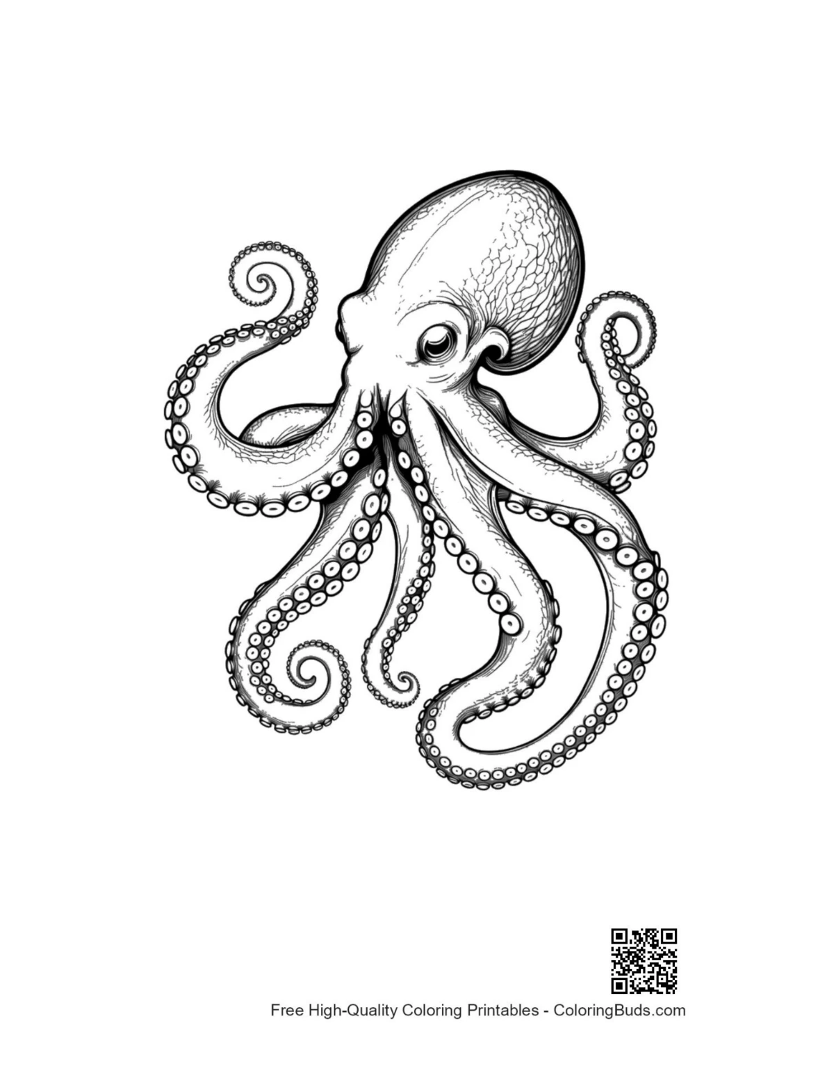 Gigantic octopus dynamic ink pose art