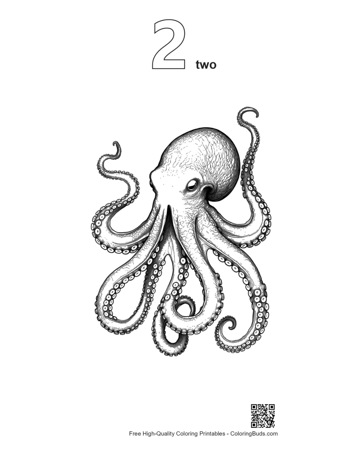 Outline version 2 of gigantic octopus dynamic pose printable