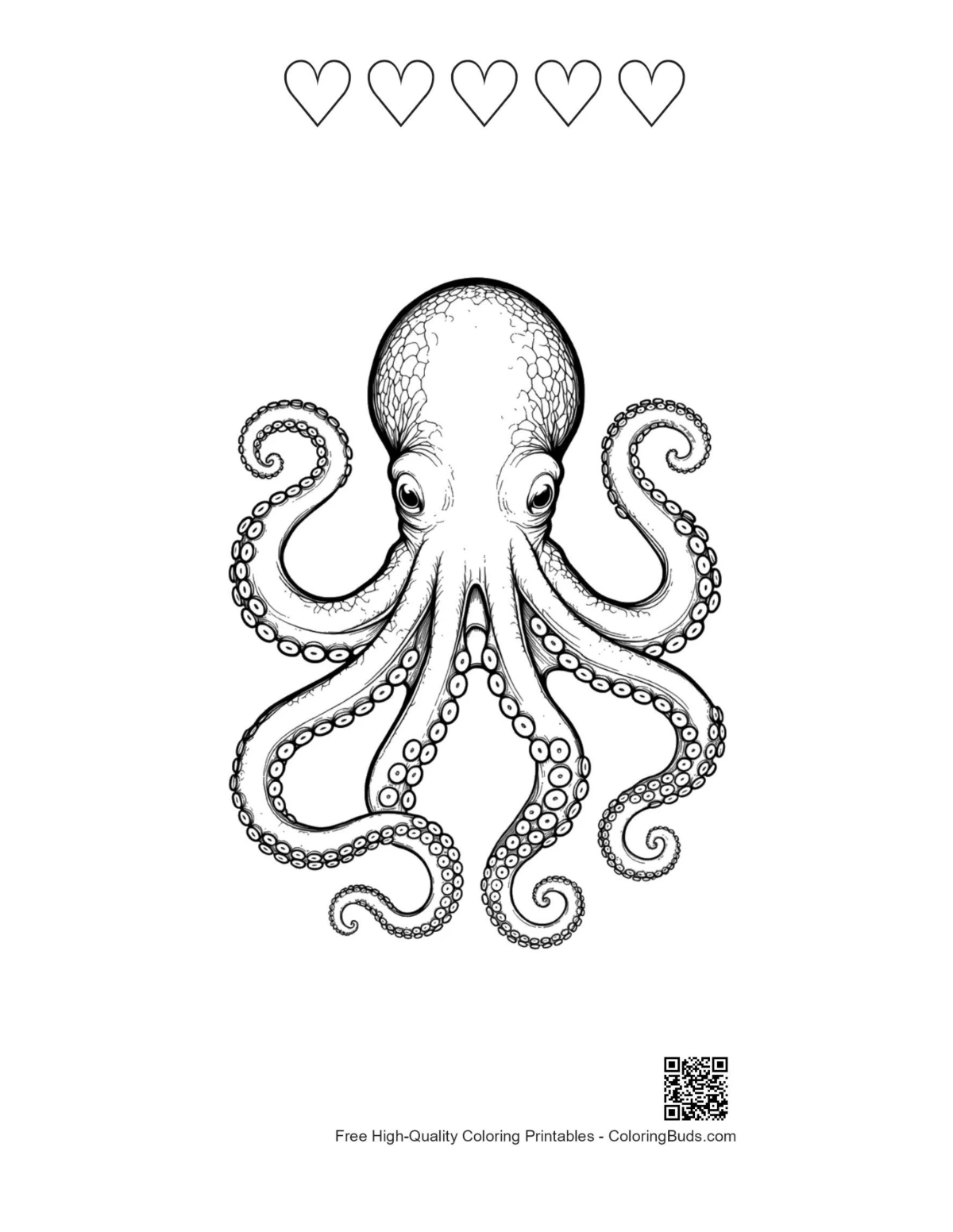 Heart outlines in gigantic octopus ink drawing