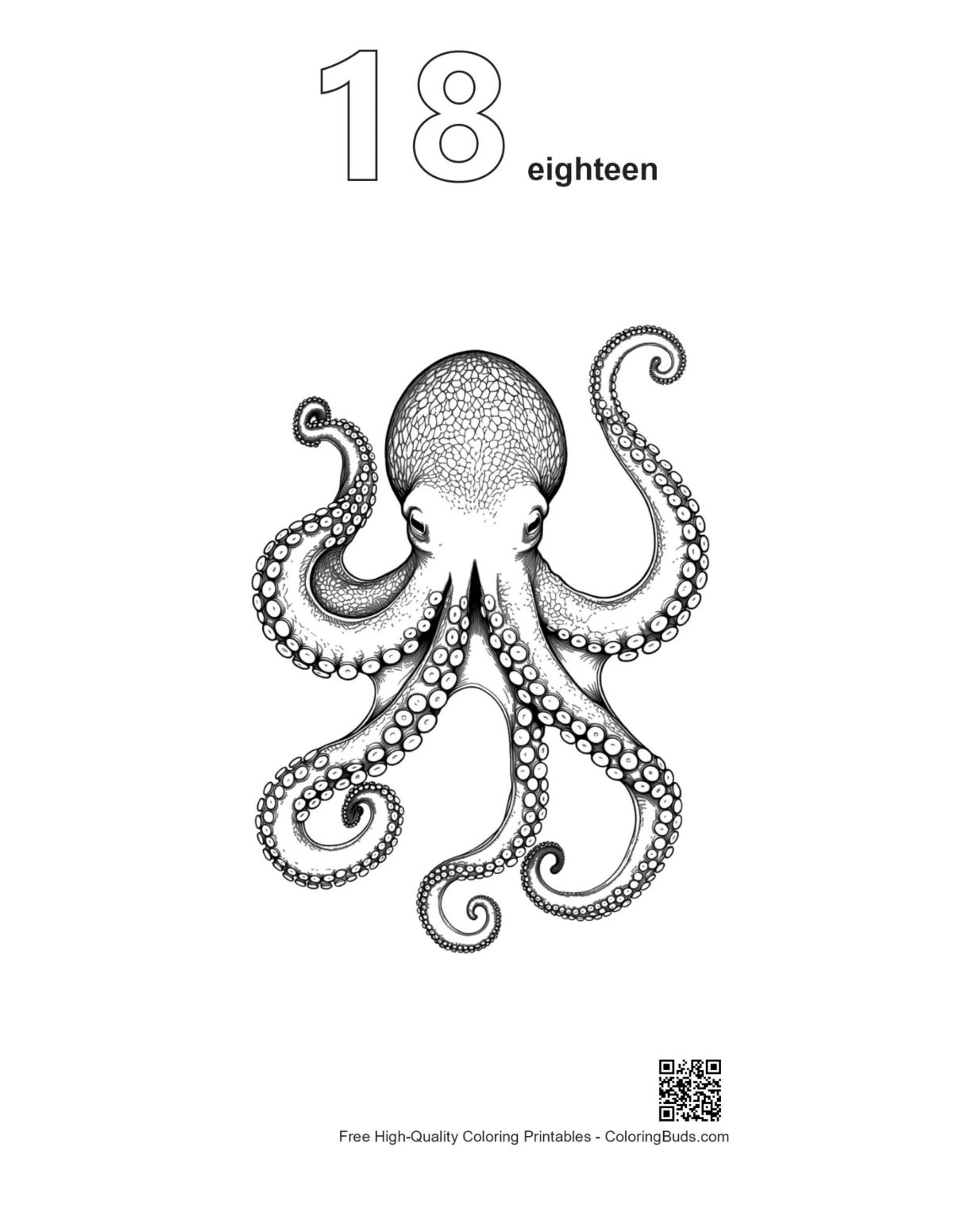 Gigantic octopus ink drawing outline numbered 18