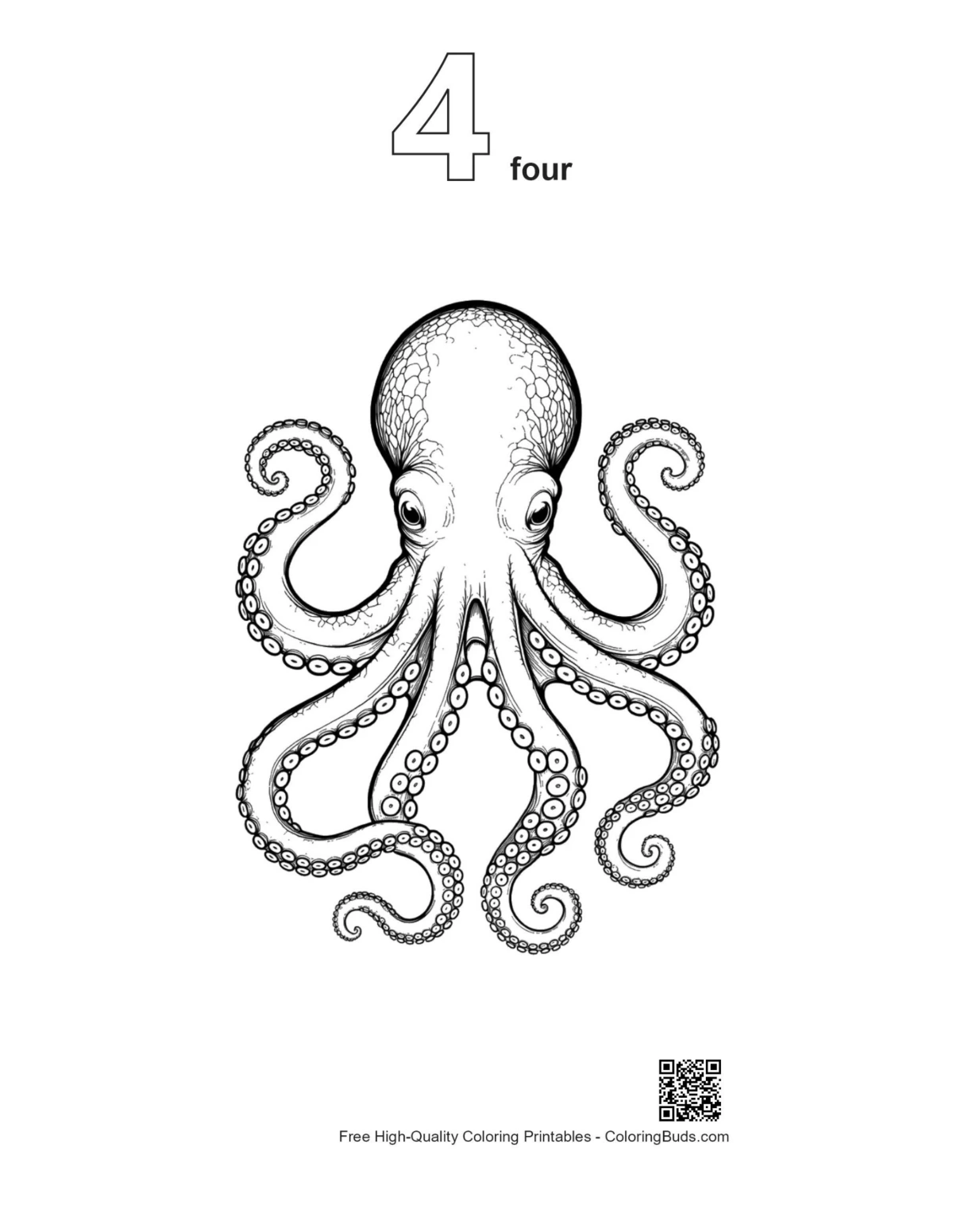 Number 4 outline in gigantic octopus drawing