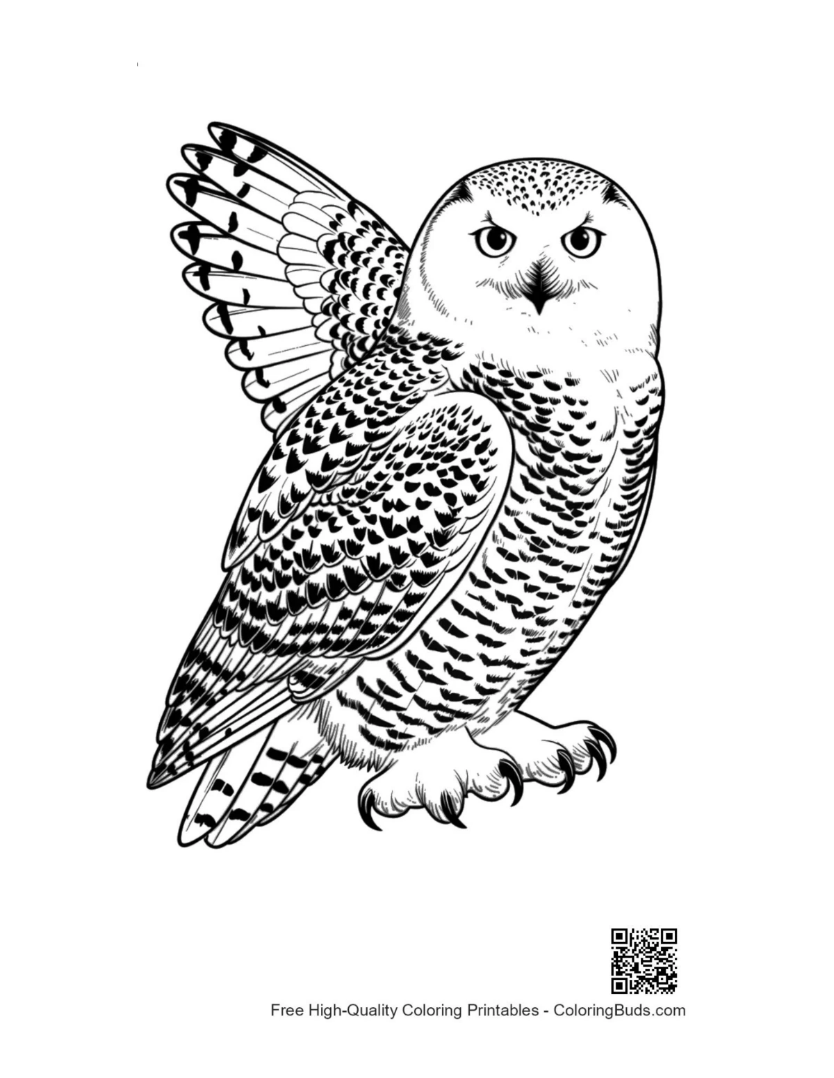Majestic fierce snowy owl spreading wings illustration