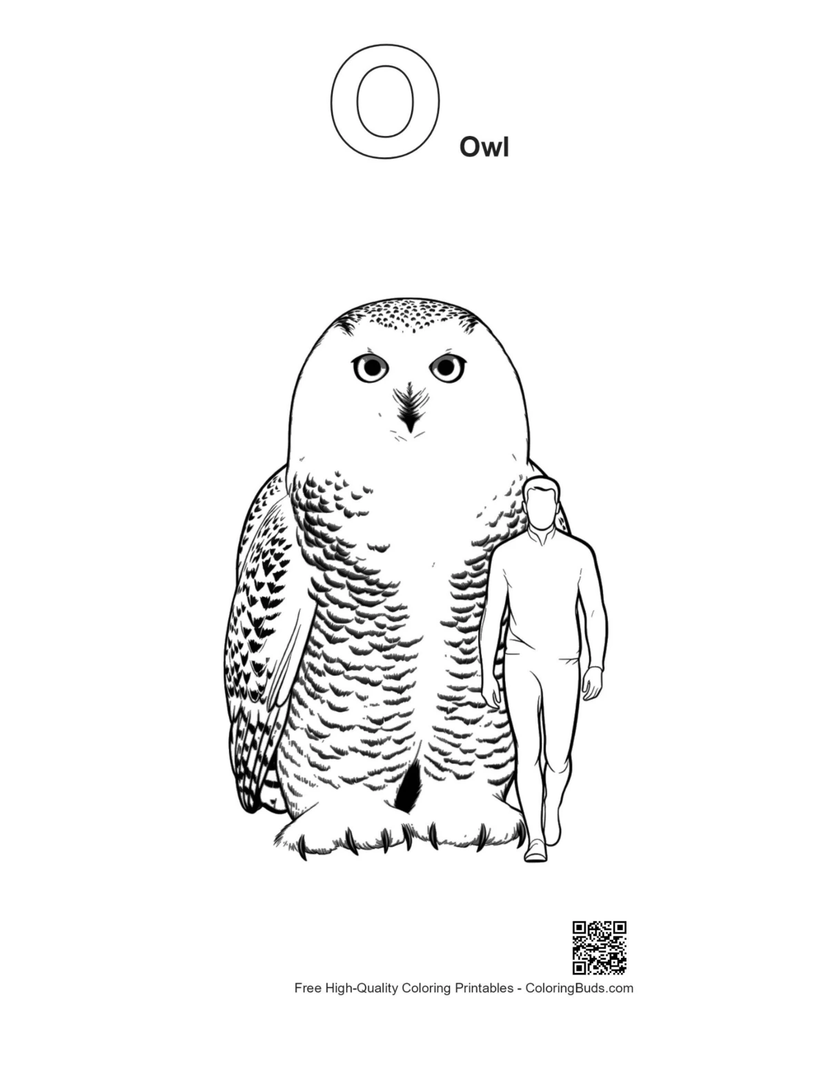 Outline giant snowy owl over man alphabet O