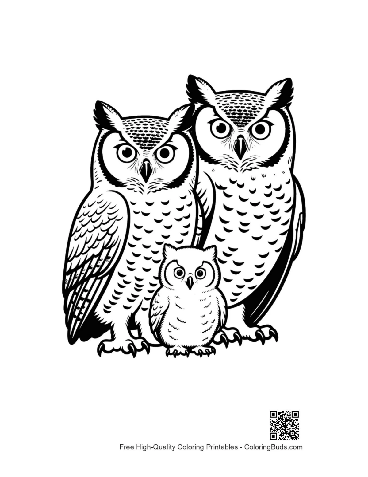 Great Horned Owl family trio illustration