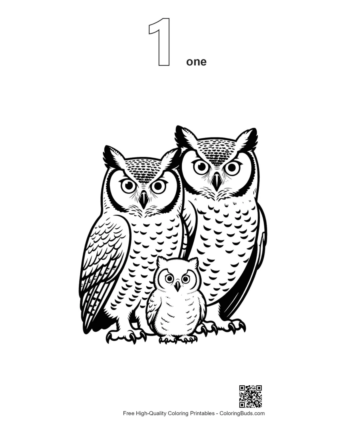 First outline of Great Horned Owl family trio