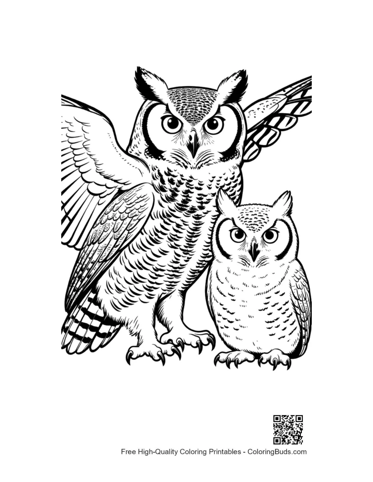 Majestic great horned owl pair illustration