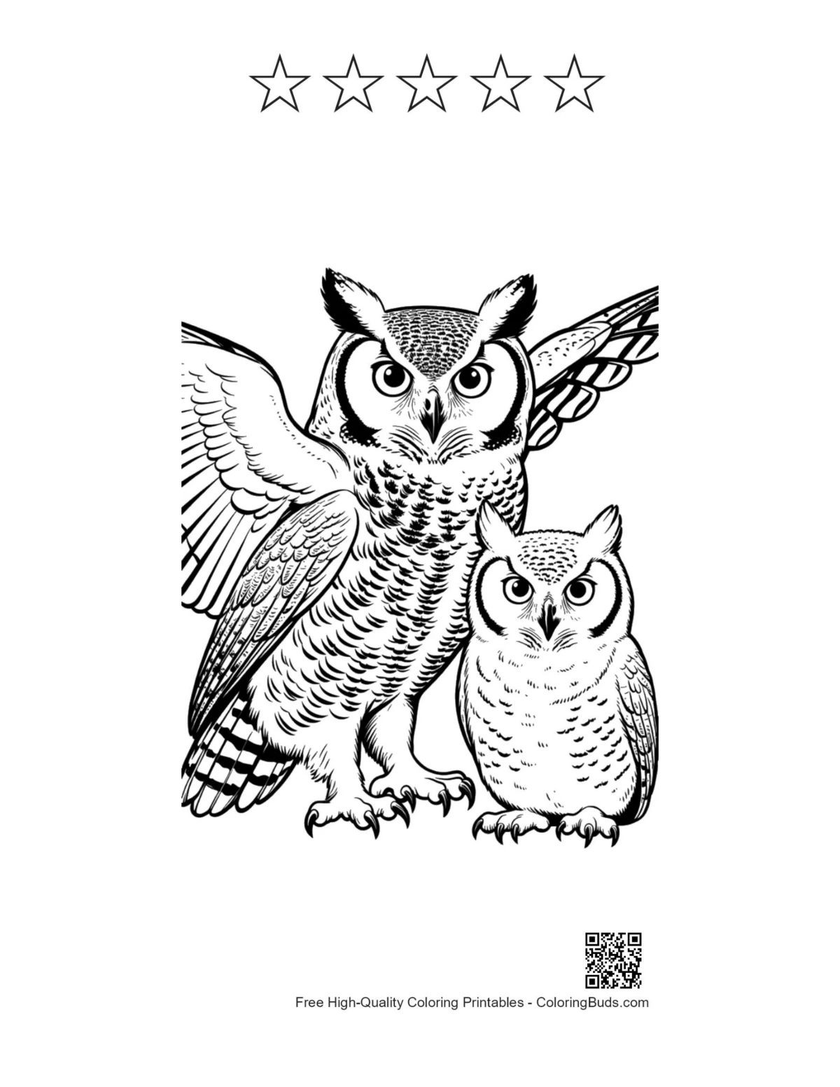 Great horned owl pair with 5-star outline printable