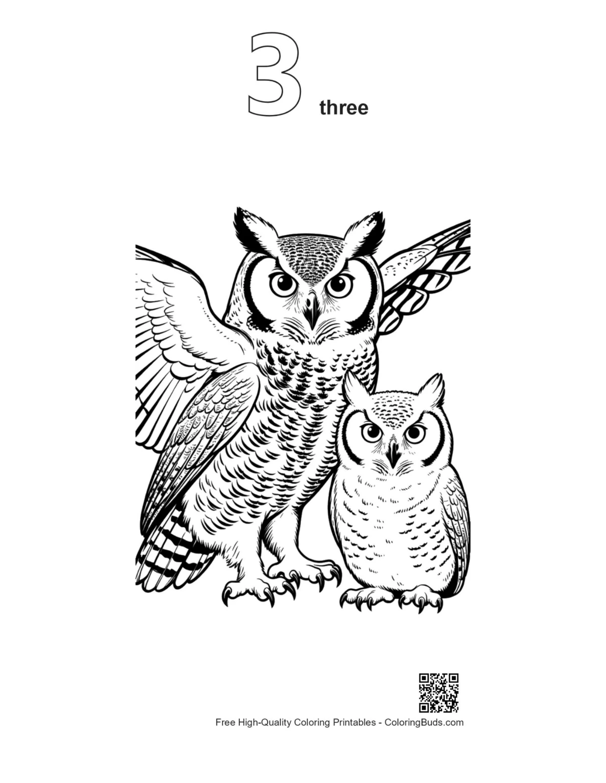 Outline great horned owl pair printable version 3