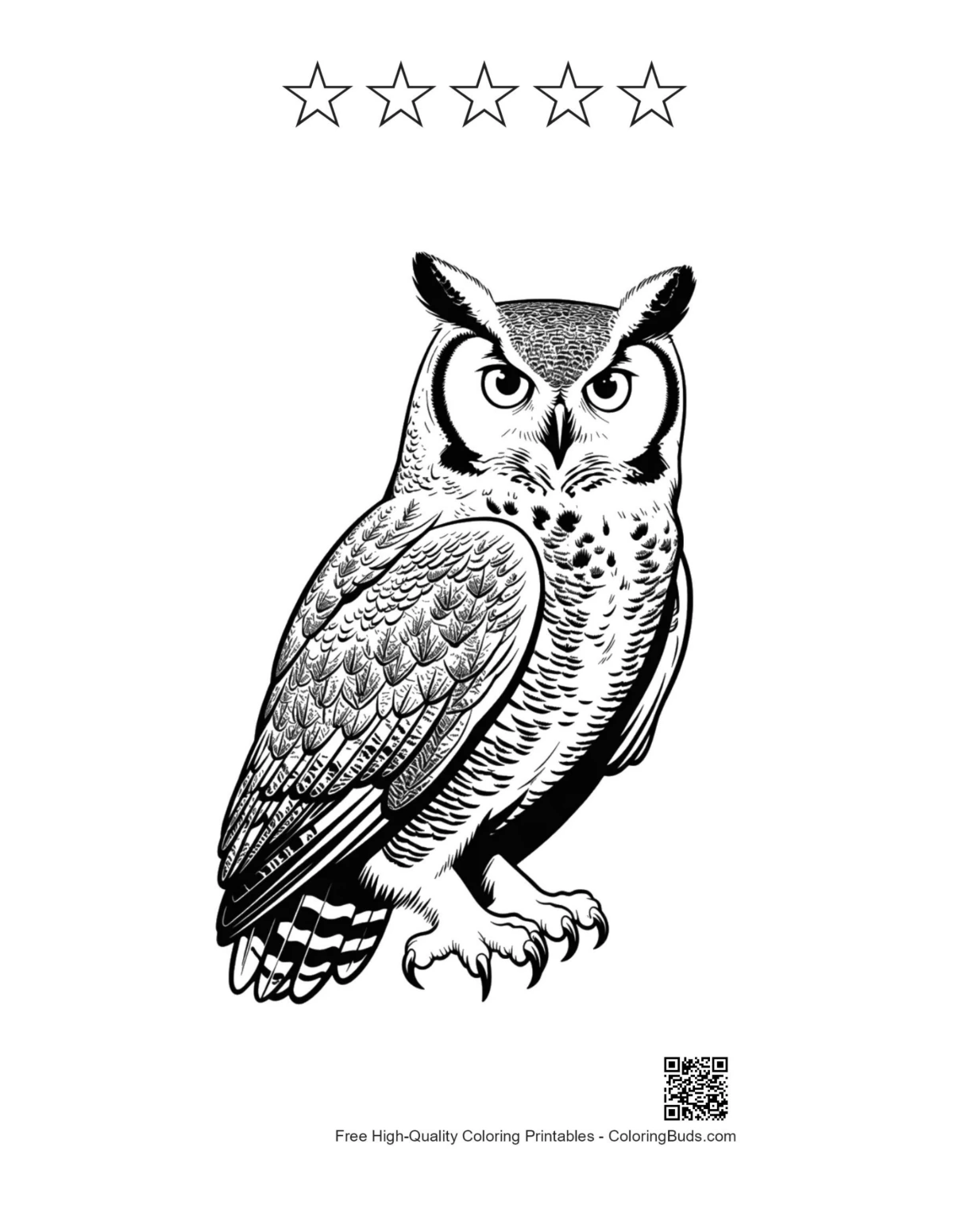 Great horned owl printable with star outlines