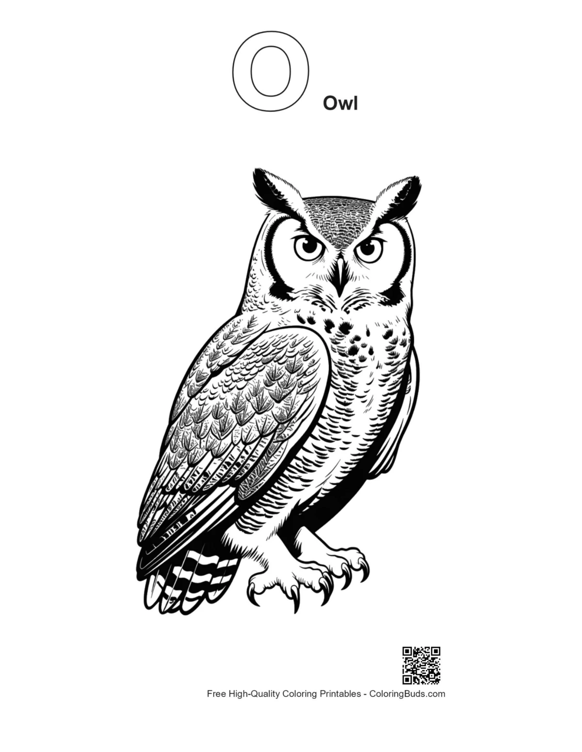 Outline great horned owl staring for alphabet O