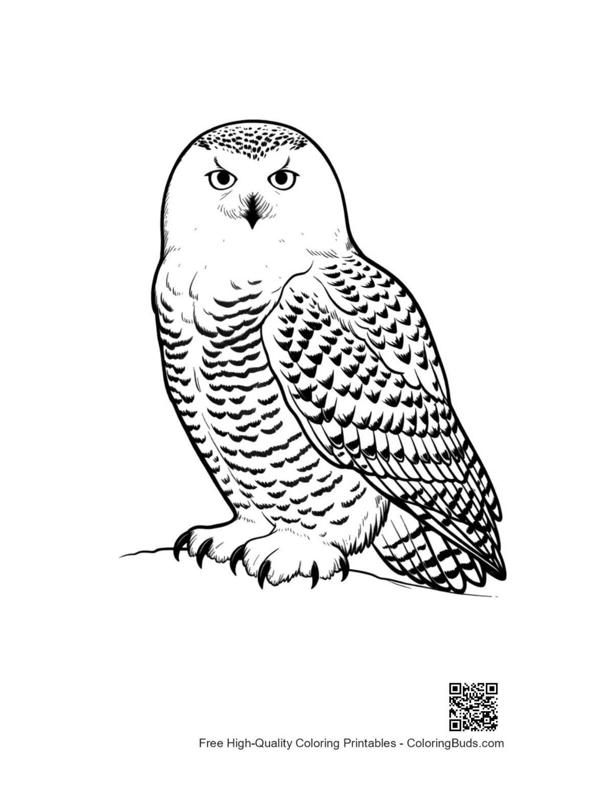Intense snowy owl perched on snow artwork