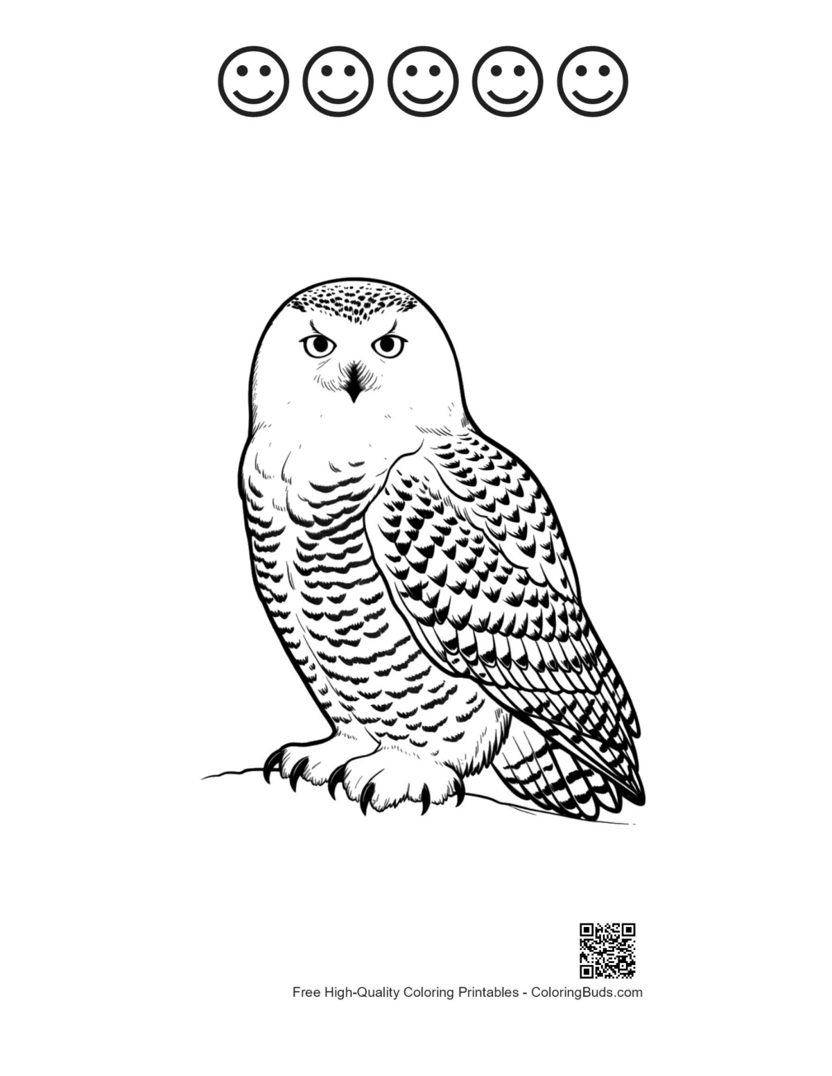 Snowy owl printable with happy faces outline