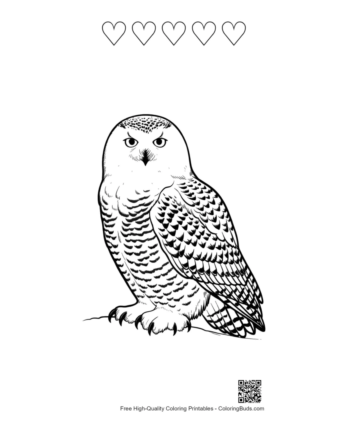 Snowy owl printable with heart outlines