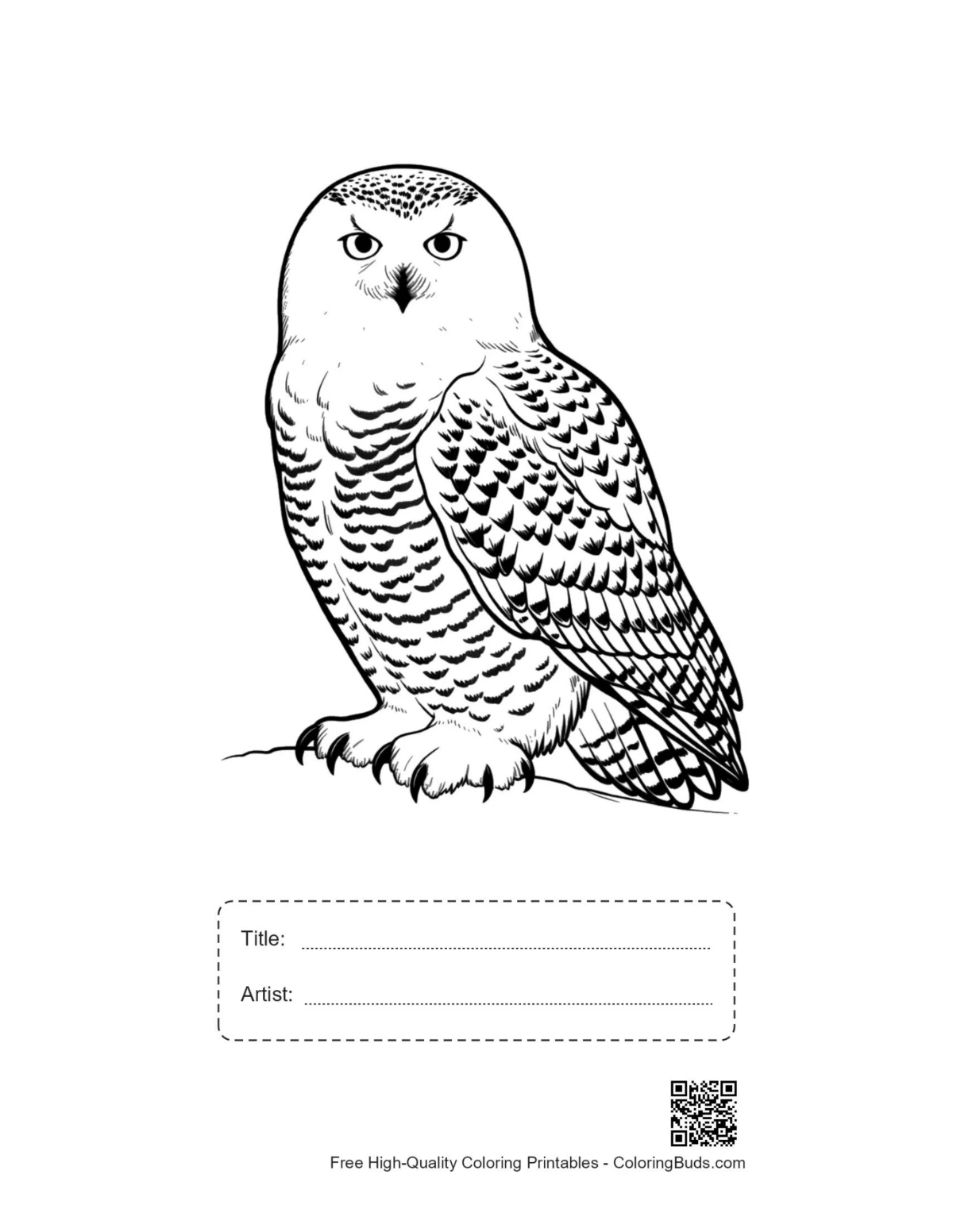 Printable intense snowy owl with title box