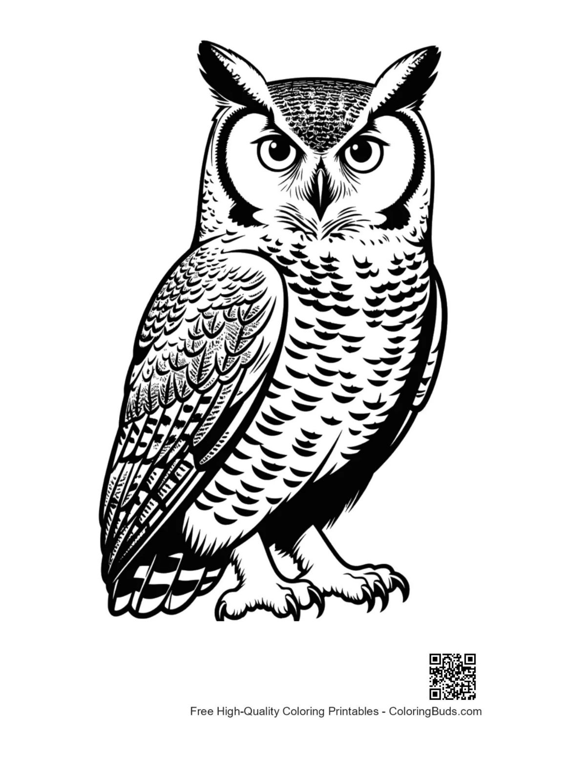 Majestic great horned owl profile view illustration