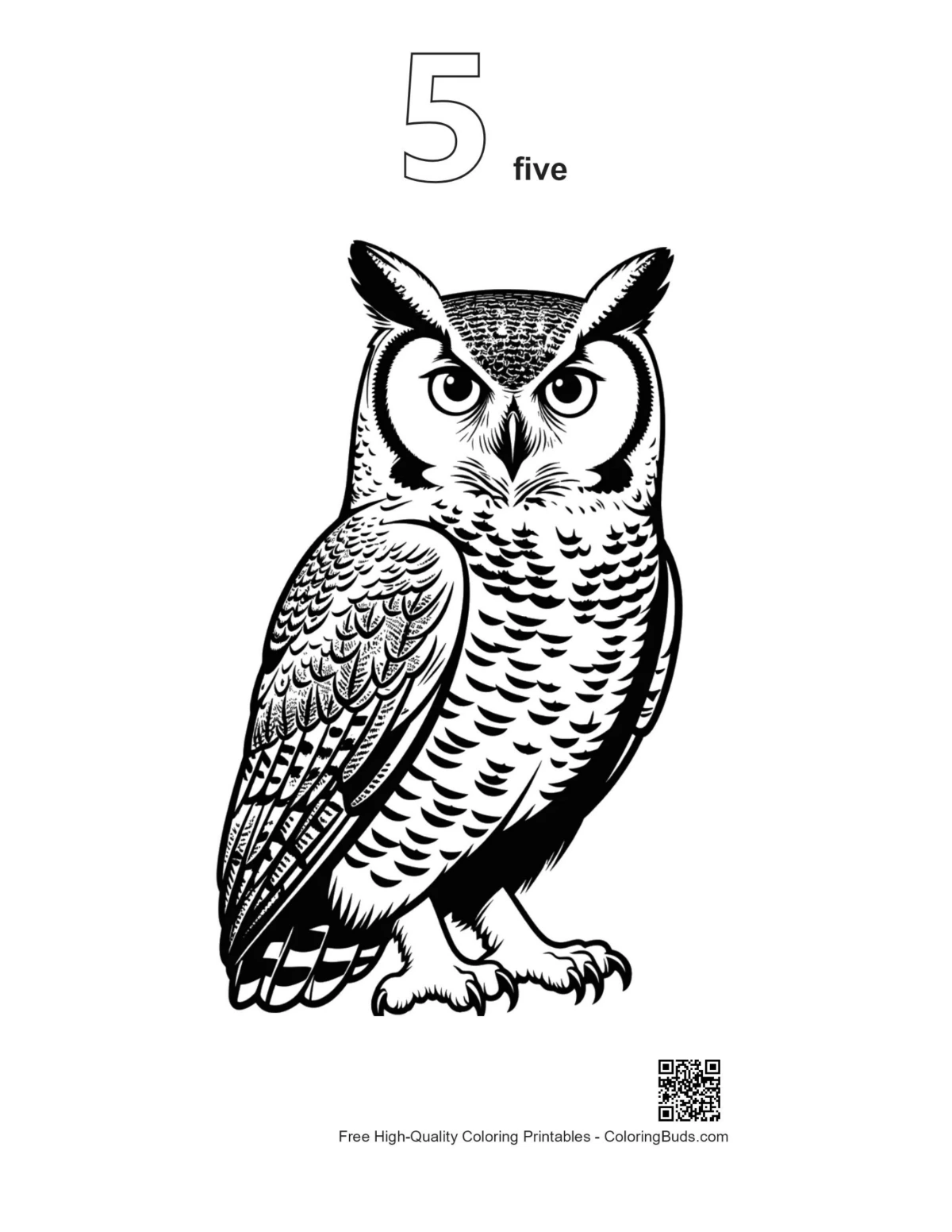 Outlined great horned owl profile with number 5