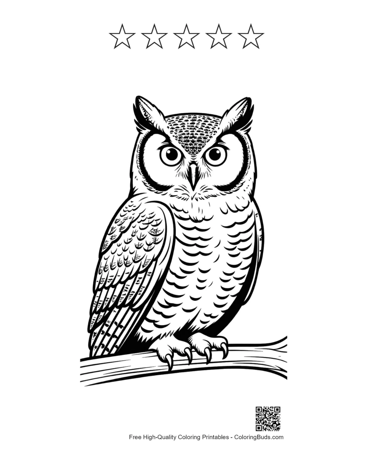 Great horned owl printable with 5-star outline design