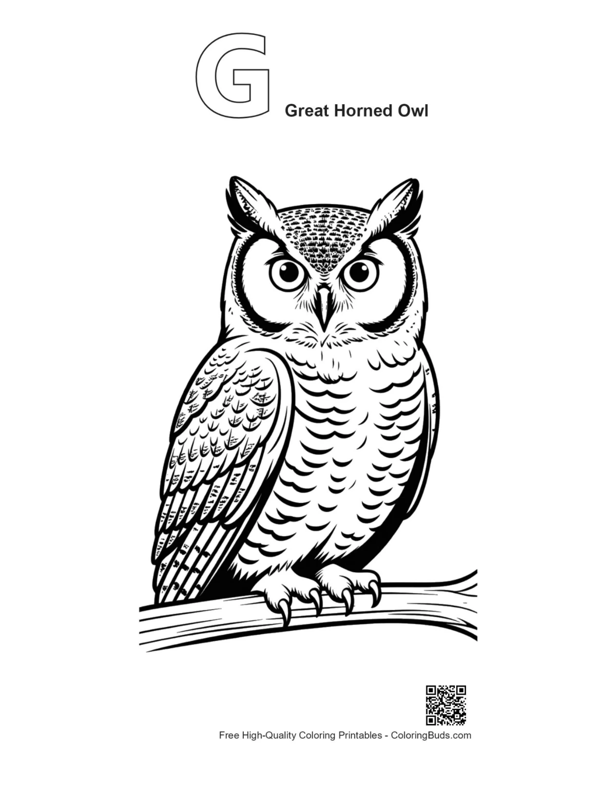 Great horned owl outline with alphabet G printable