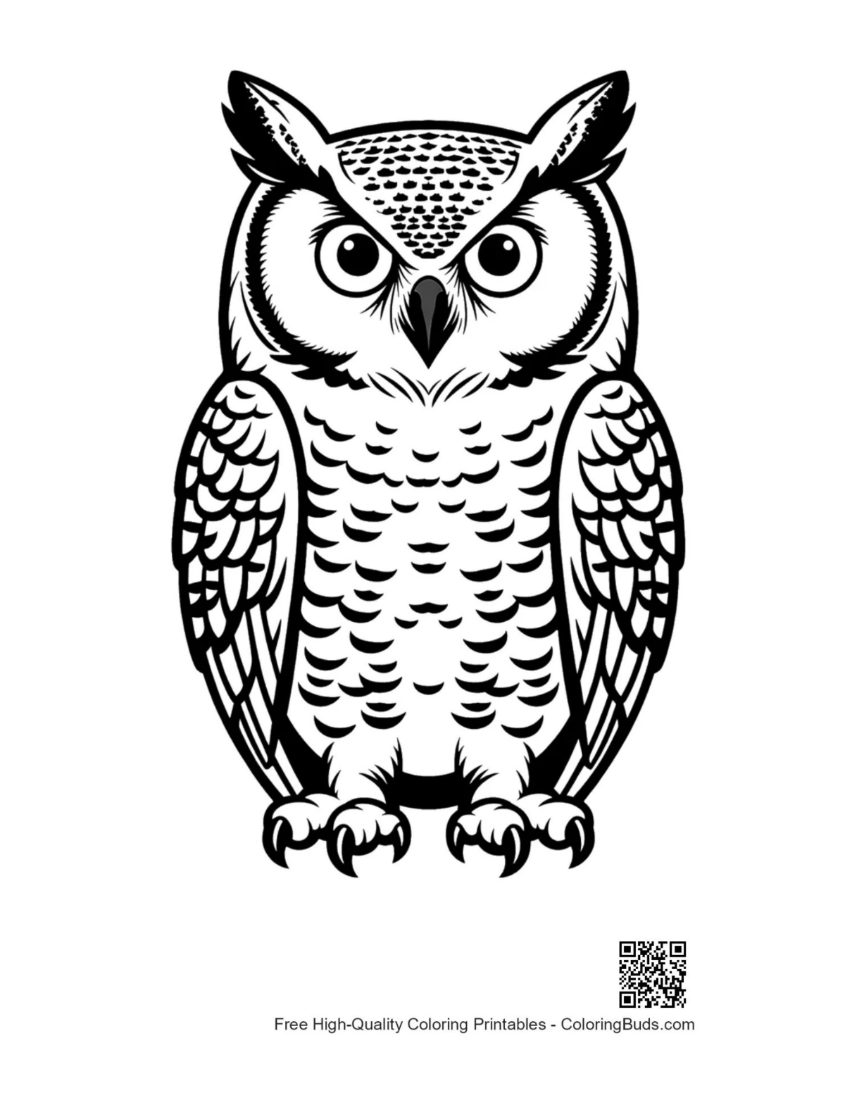 Majestic great horned owl stare artwork
