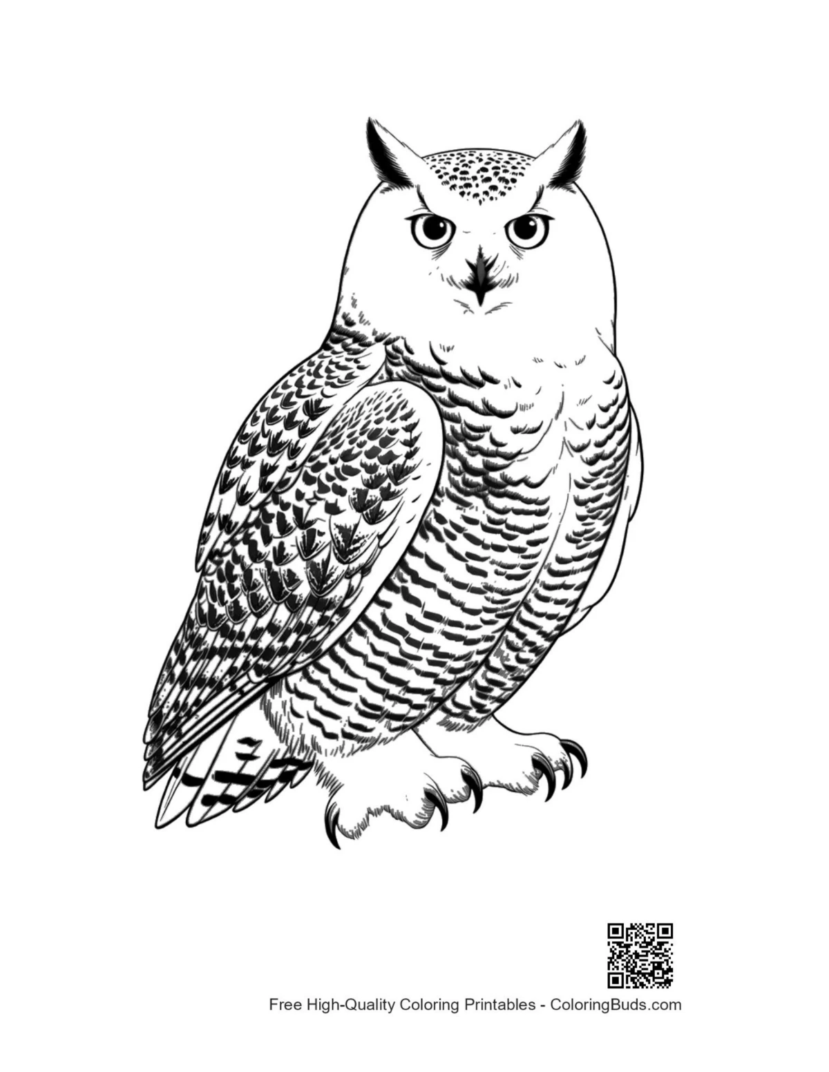 Line art of majestic snowy owl