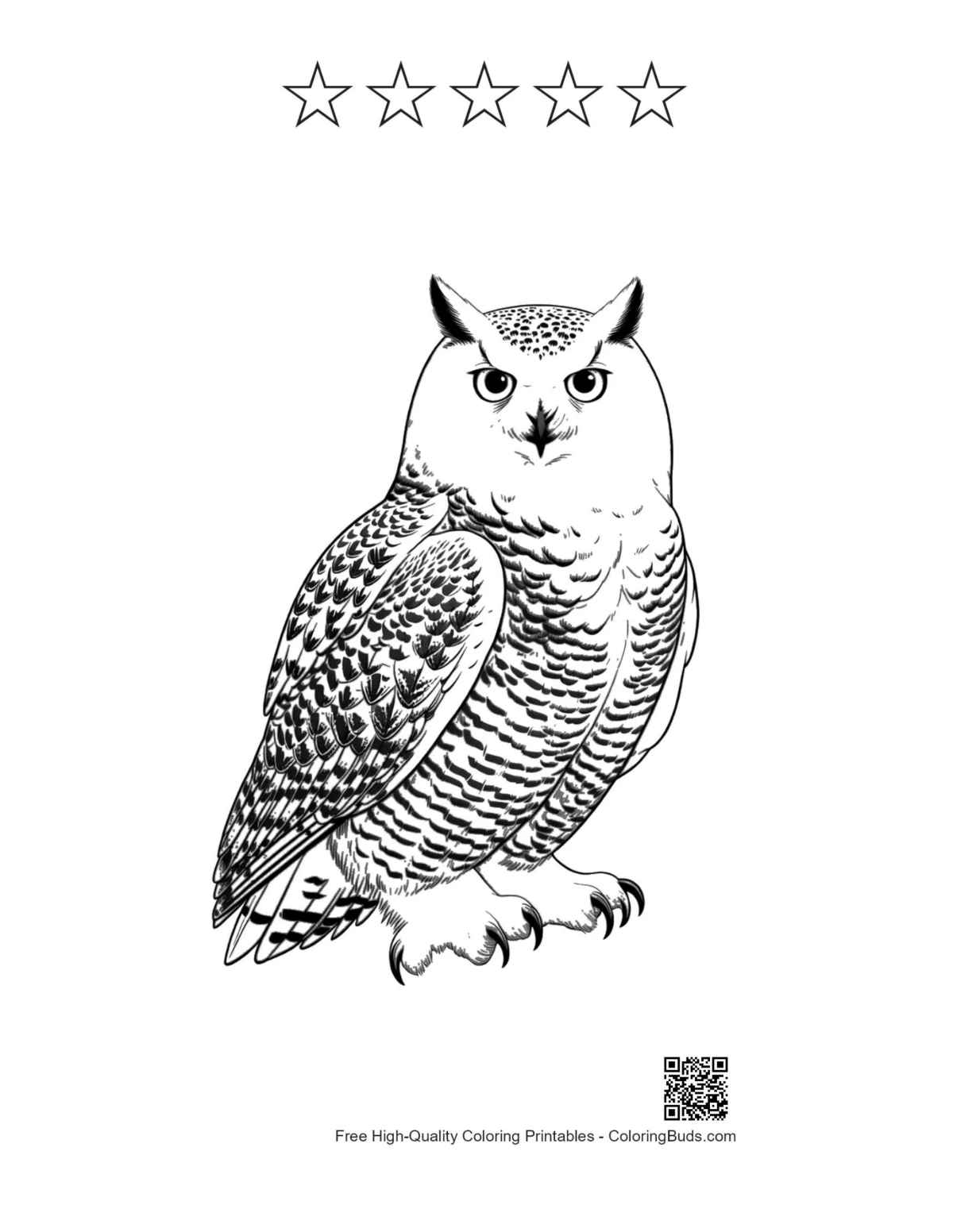 Snowy owl printable with star outlines