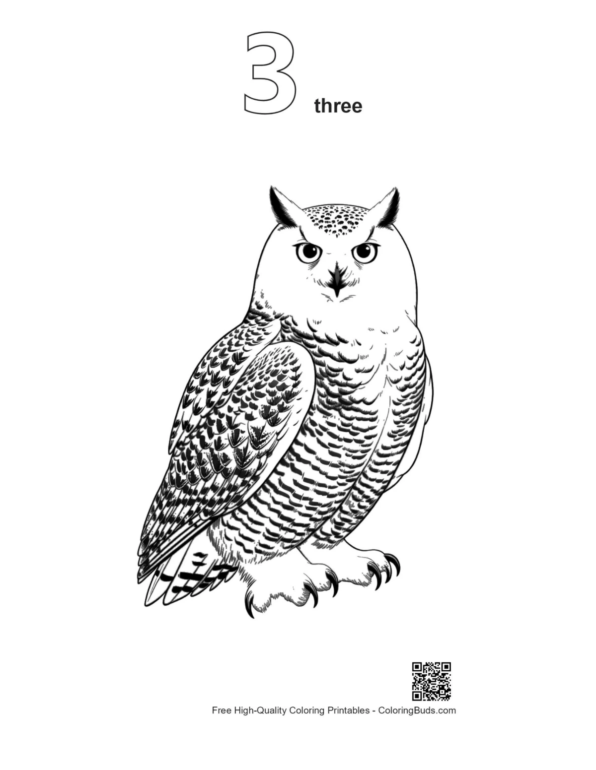 Snowy owl line art printable version 3