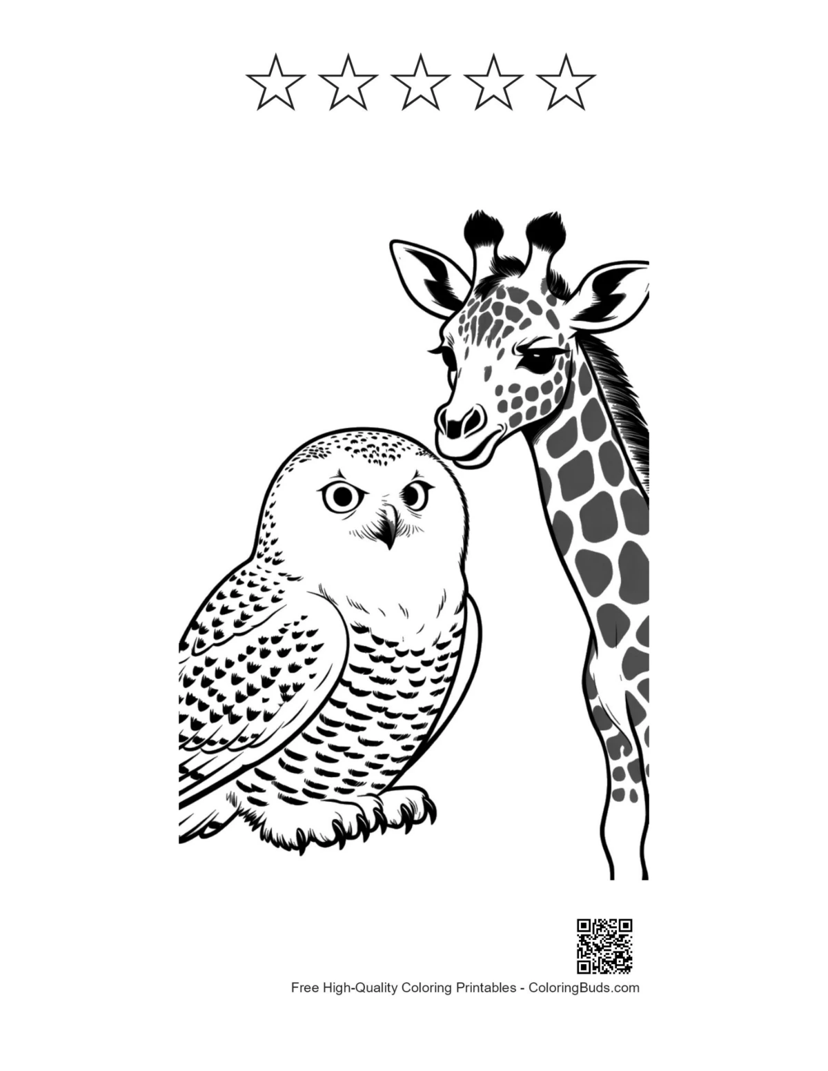 Snowy Owl Giraffe gaze with 5-star outline printable