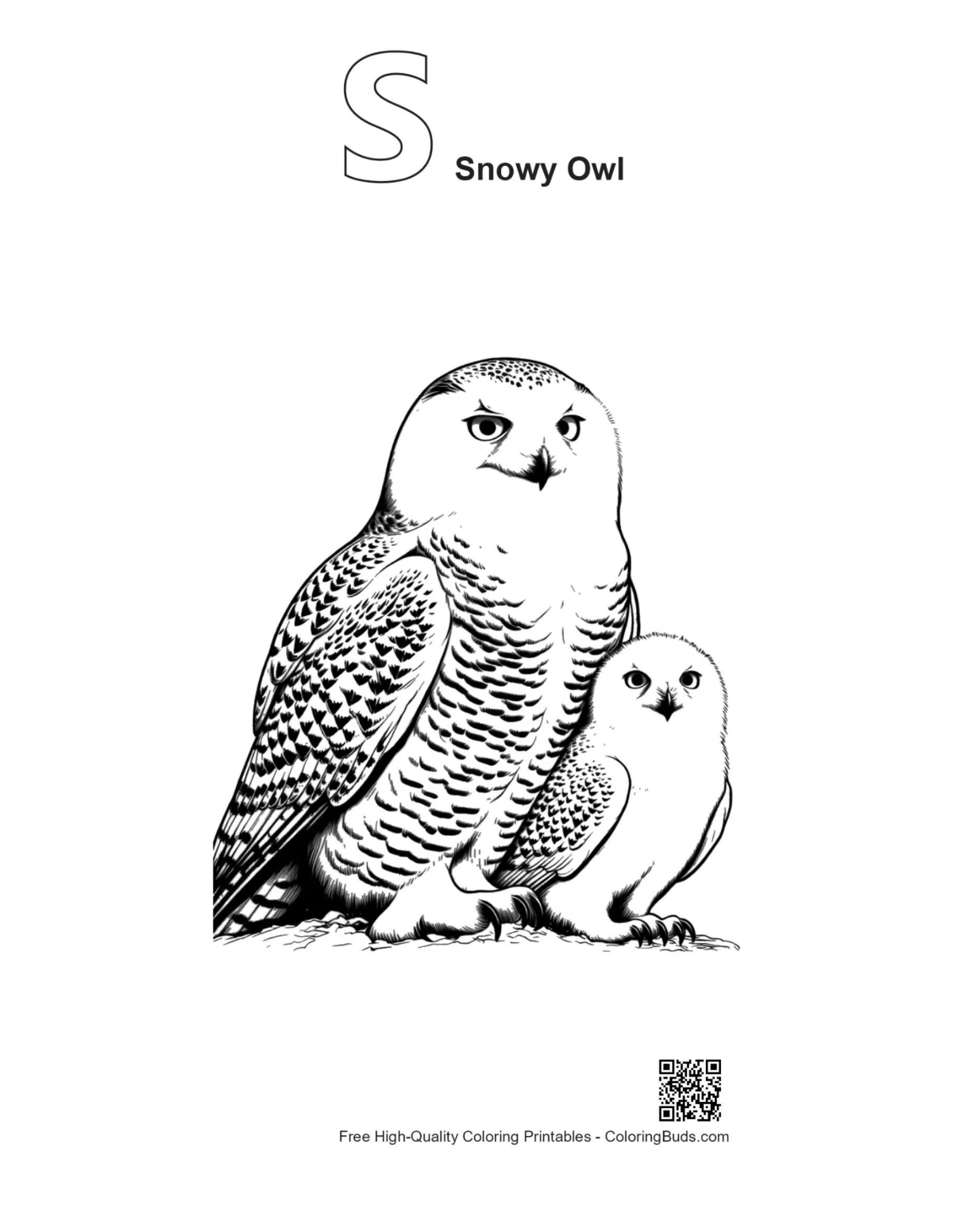 Outline printable of snowy owl mother with alphabet S