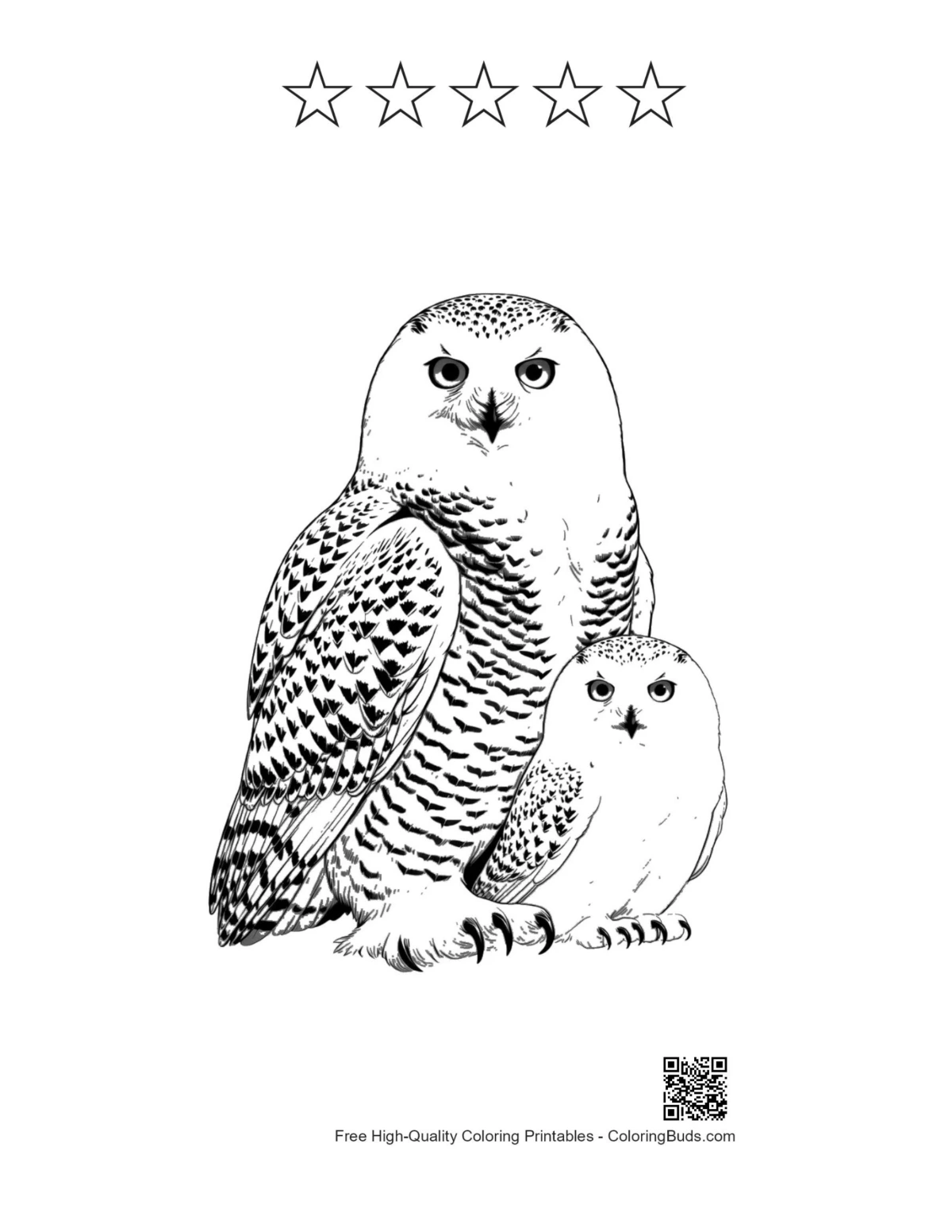 Snowy owl printable with star outlines