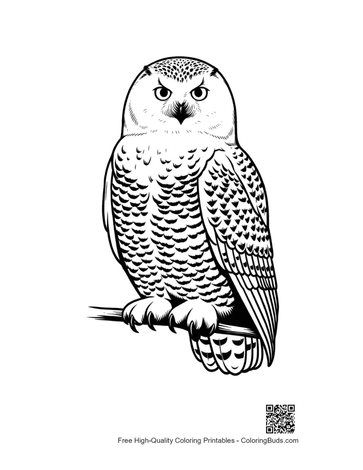 Fierce snowy owl perched on branch illustration