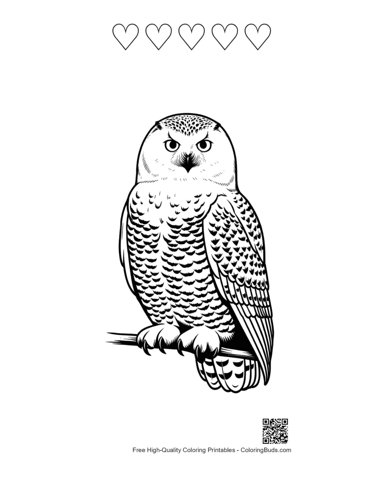 Snowy owl printable heart-themed outline