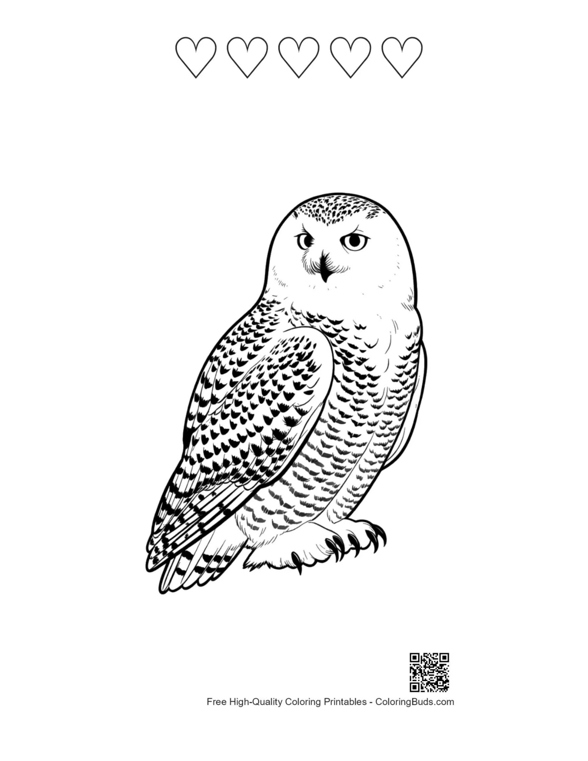 Printable snowy owl with heart outlines