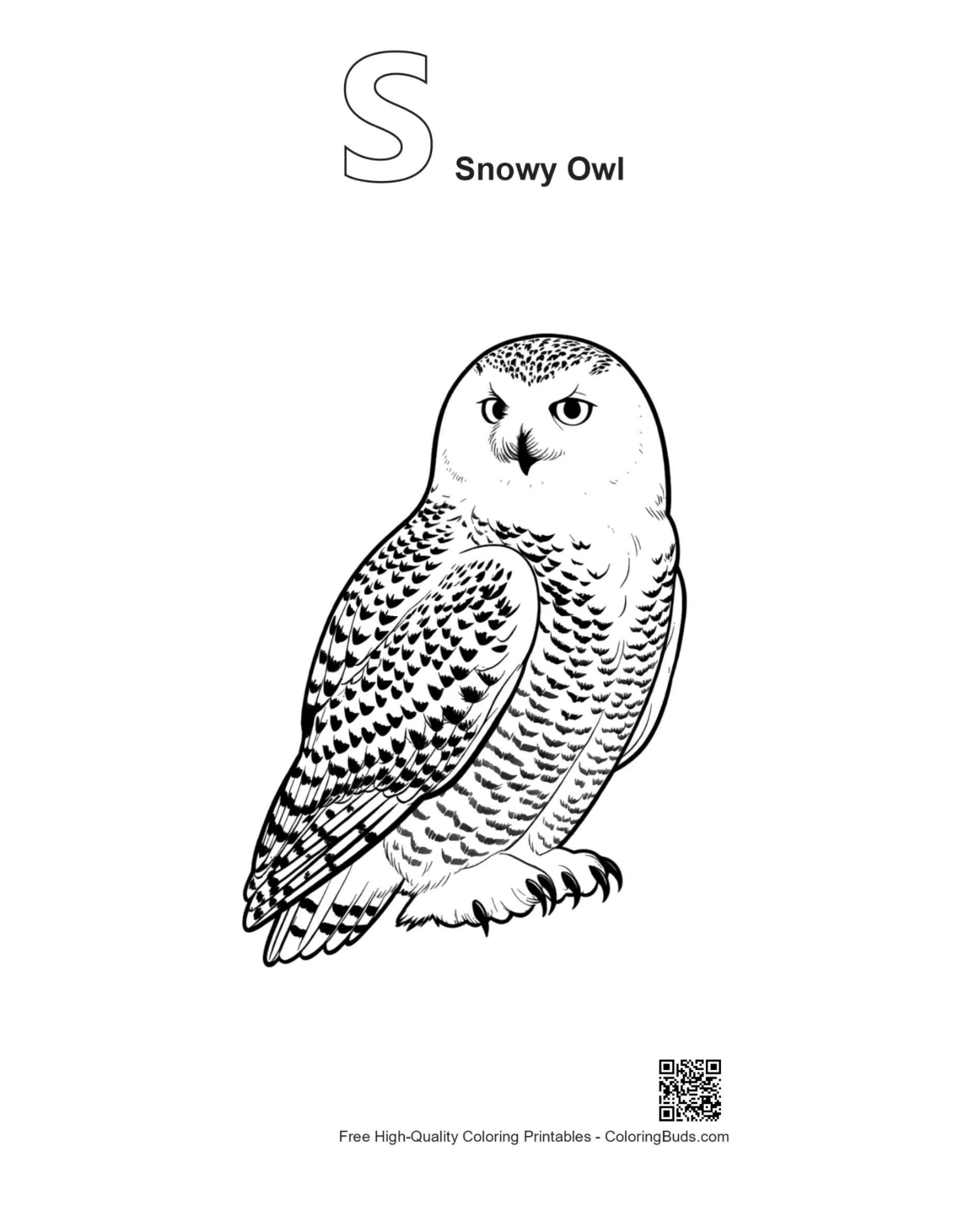 Alphabet S snowy owl line art printable