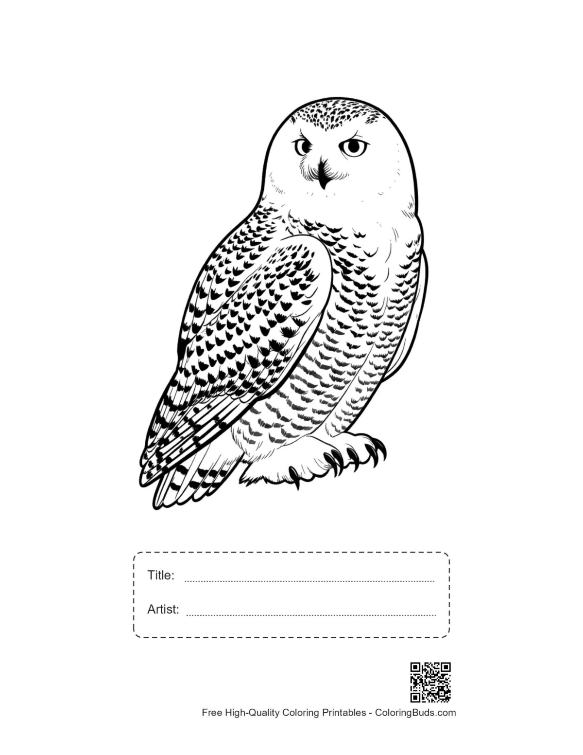 Printable snowy owl line art with title box