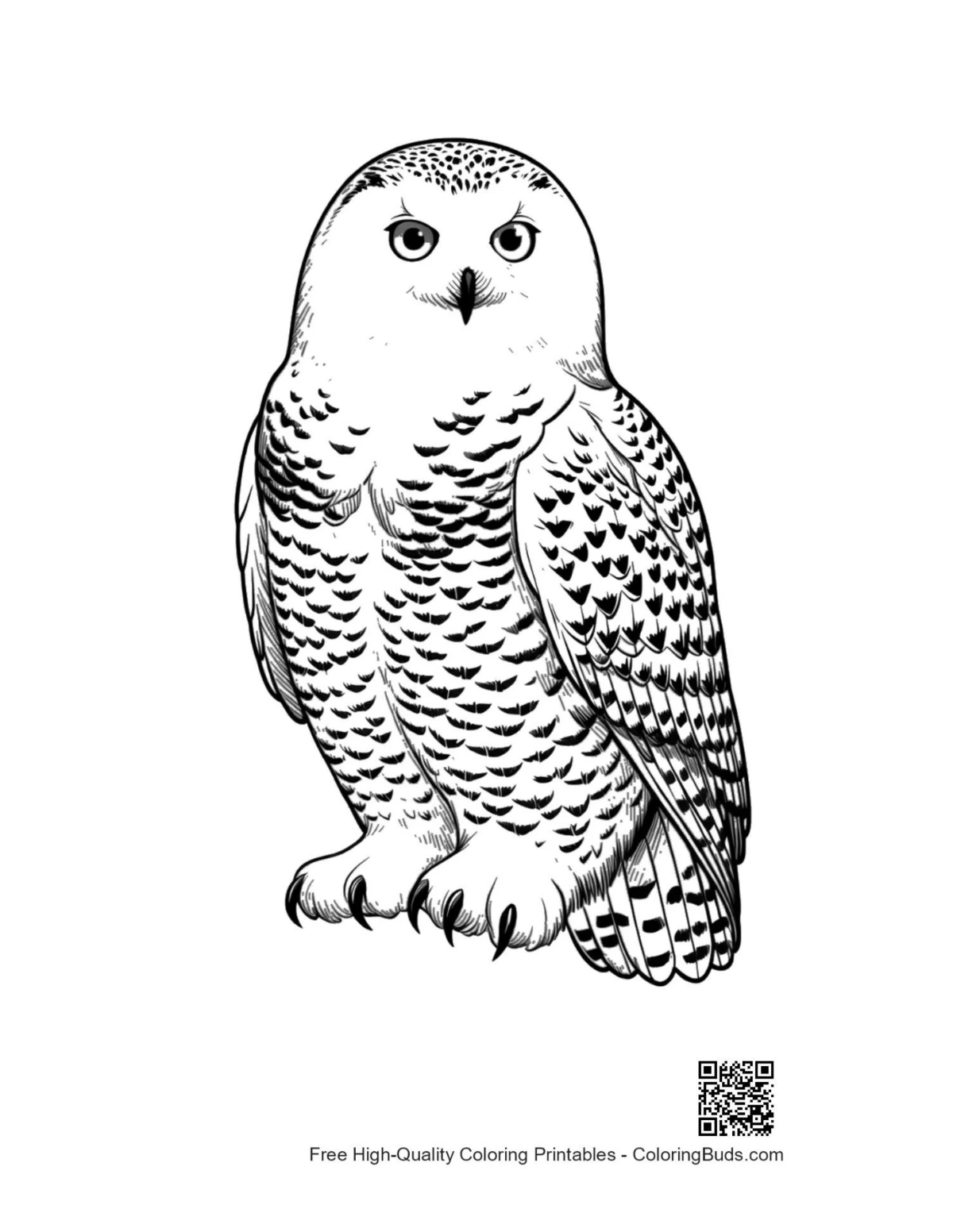 Majestic snowy owl with intense piercing gaze