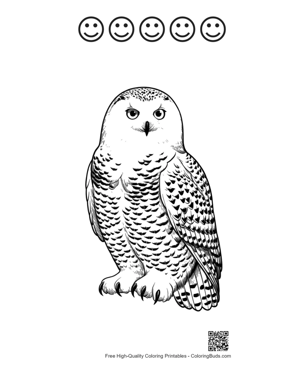 Snowy owl with 5 happy face outlines for printing