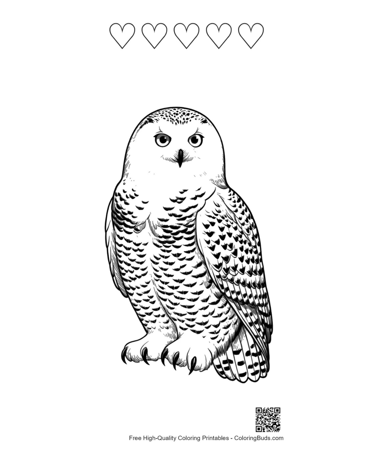 Romantic snowy owl printable with 5 heart outlines