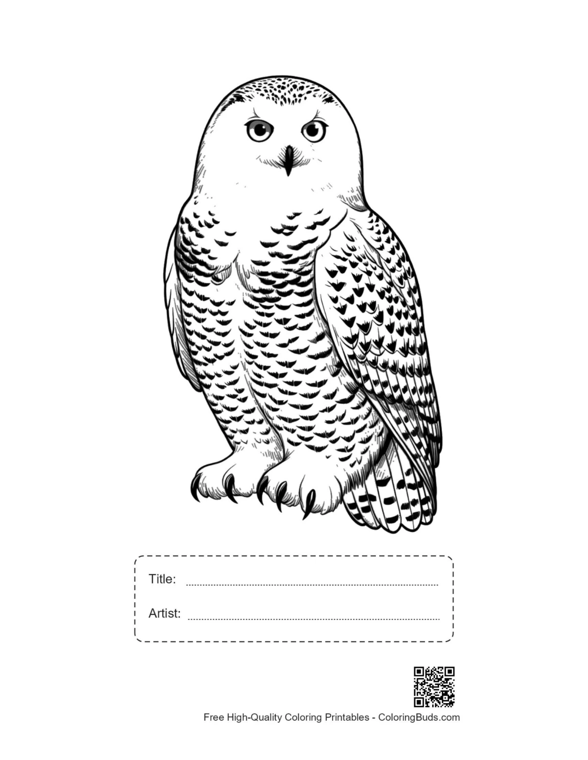 Printable snowy owl design with title and artist space