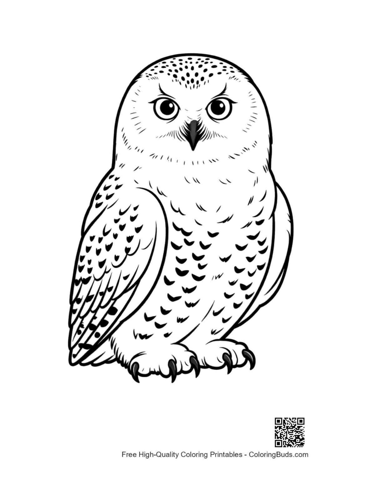Majestic snowy owl with intense piercing stare