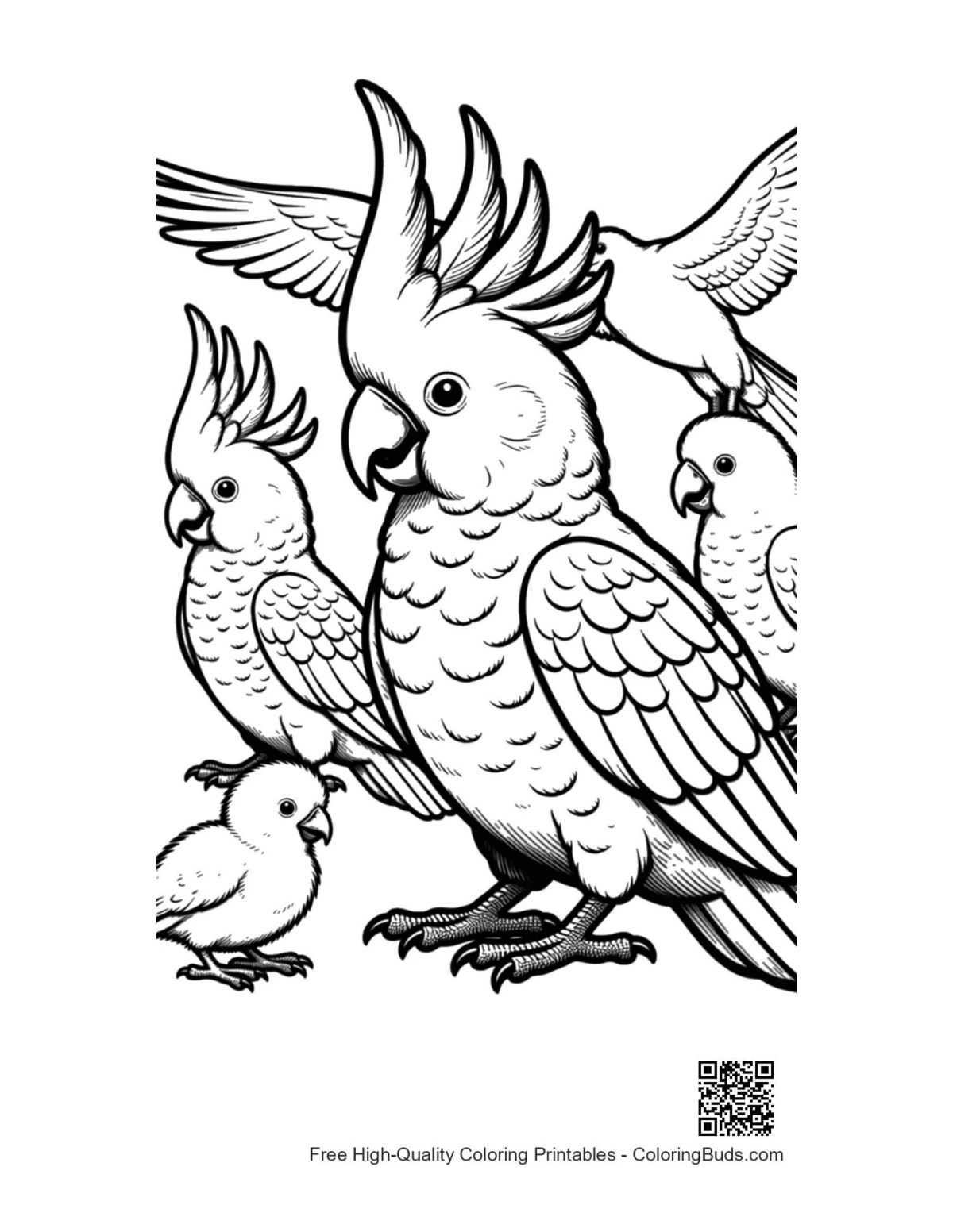 Cheerful cockatoo family gathering printable coloring page