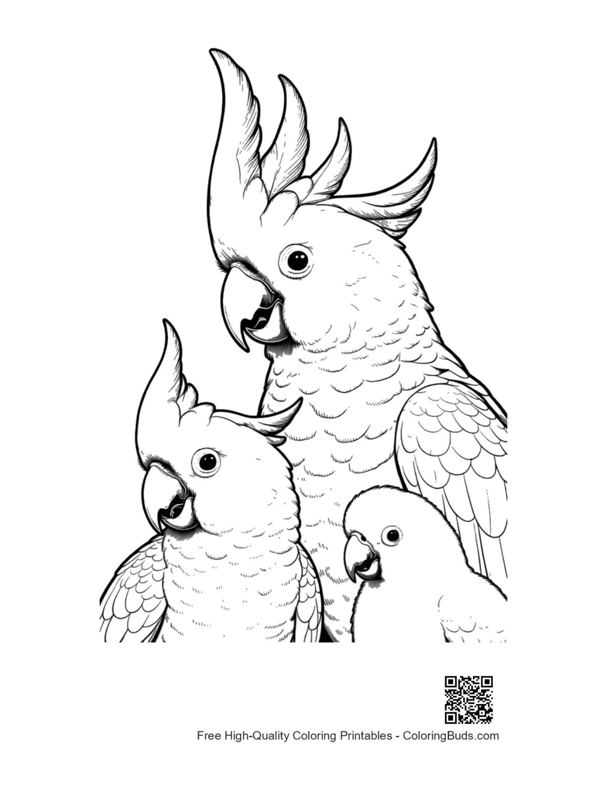 Line art of cheerful cockatoo family