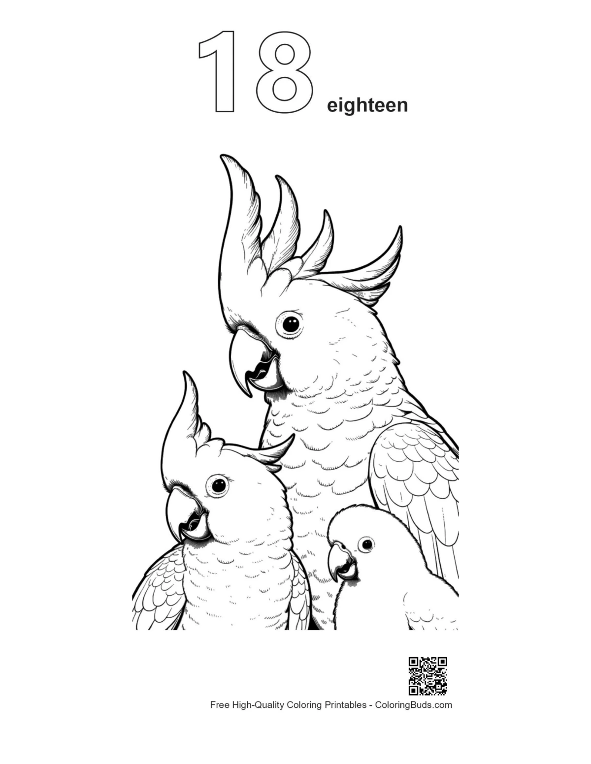Cockatoo family line art numbered 18