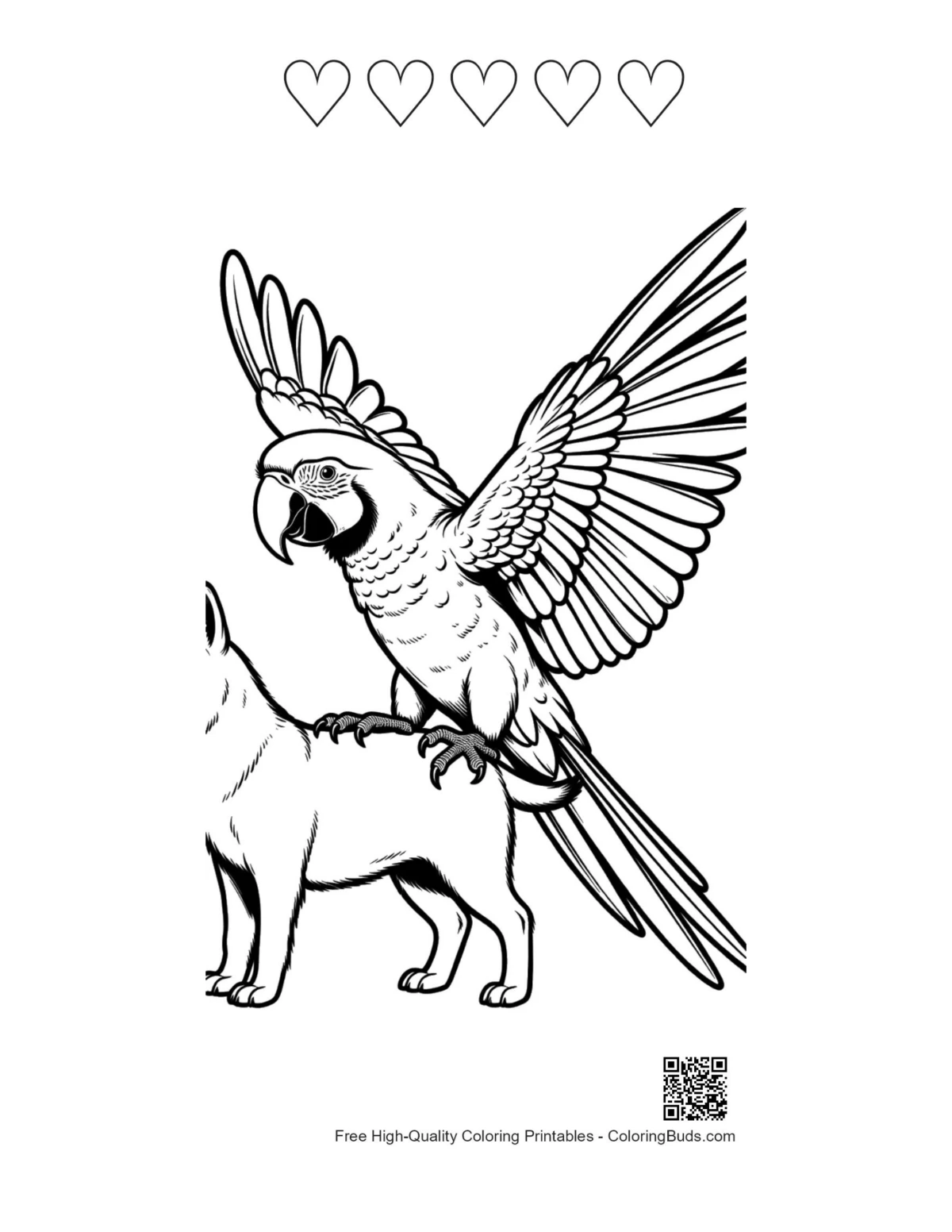 Macaw printable with 5 heart outlines
