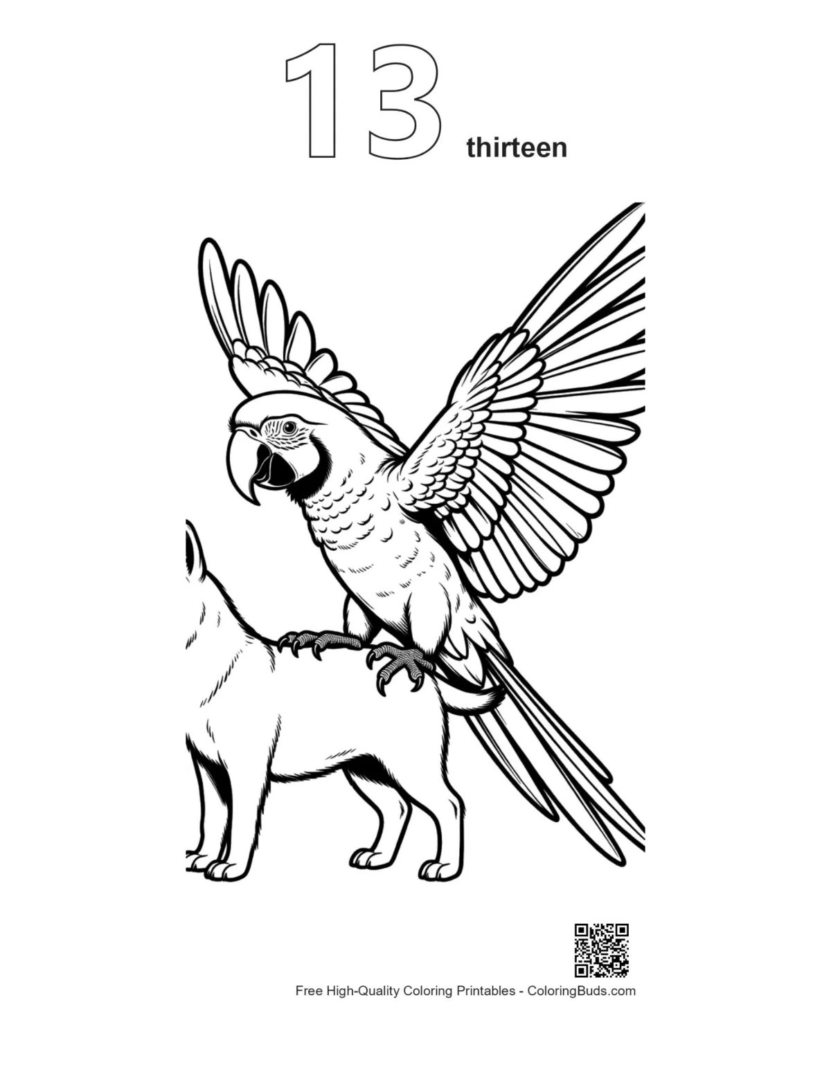 Macaw outline printable numbered 13