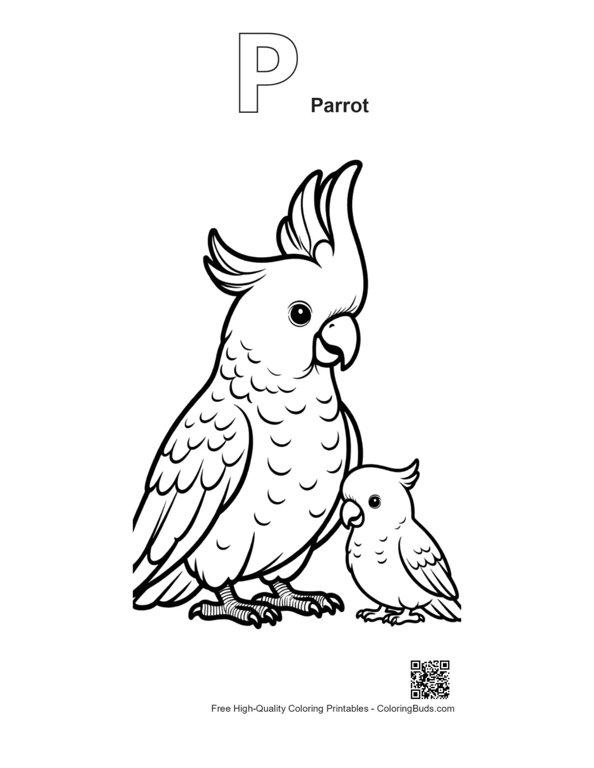 Outline alphabet P parrot with cute cockatoo family