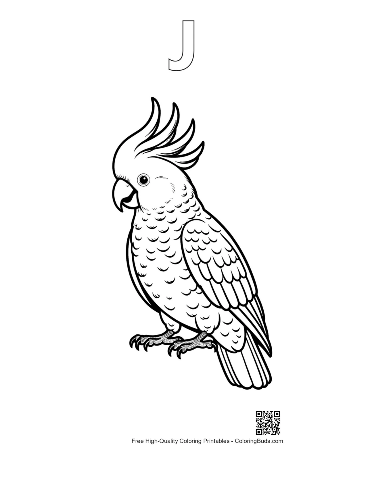 Cockatoo line drawing printable with alphabet J outline