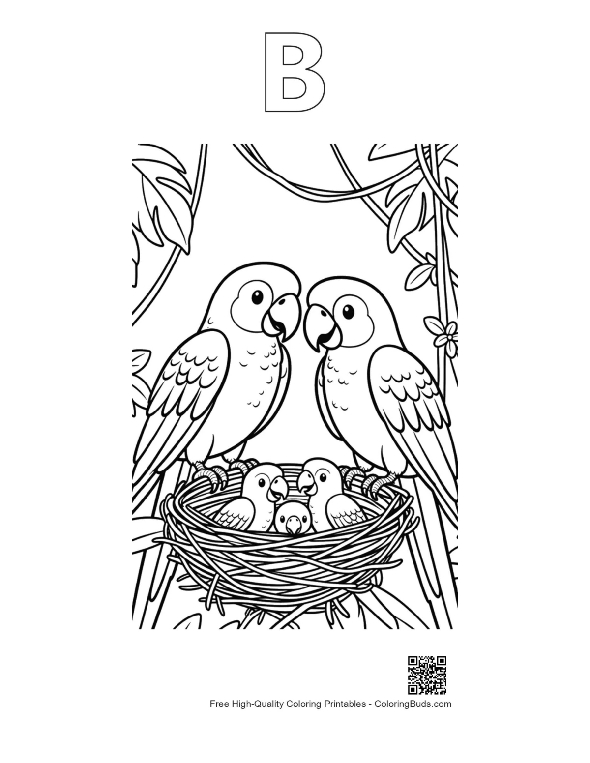 Easy cockatoo outline with alphabet B printable